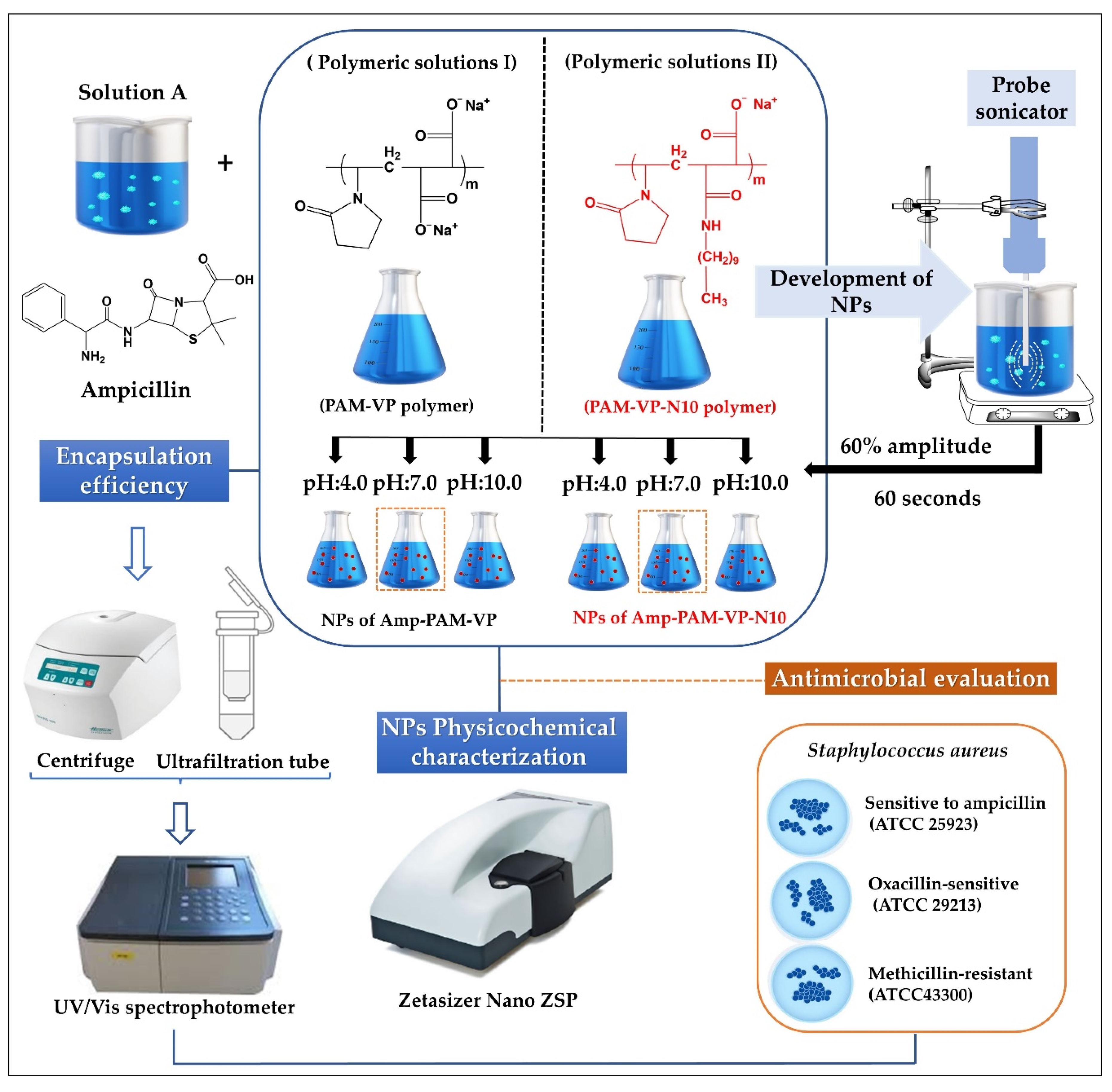 Molecules 27 02943 g001