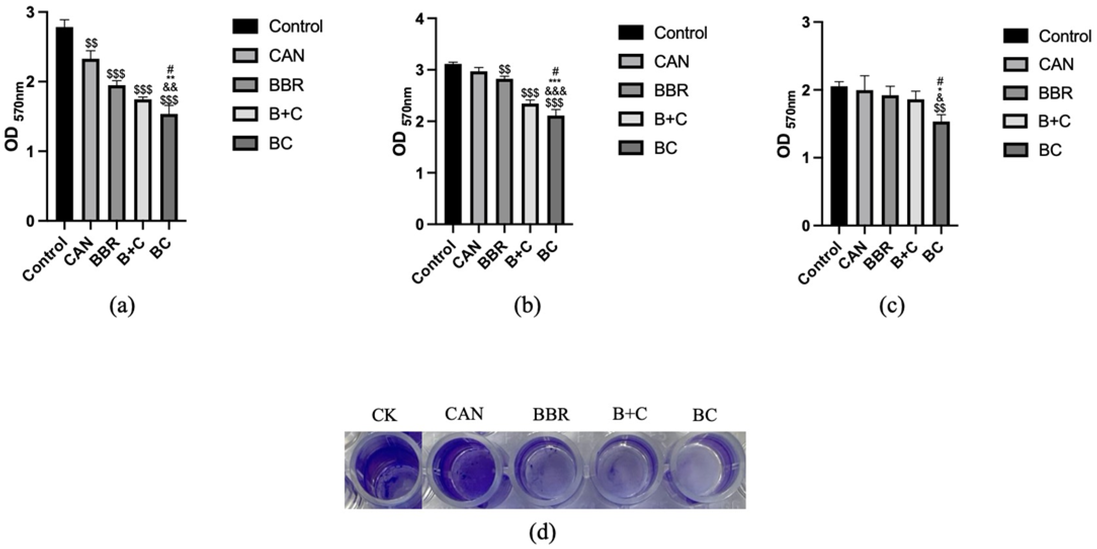 Molecules 27 02948 g006