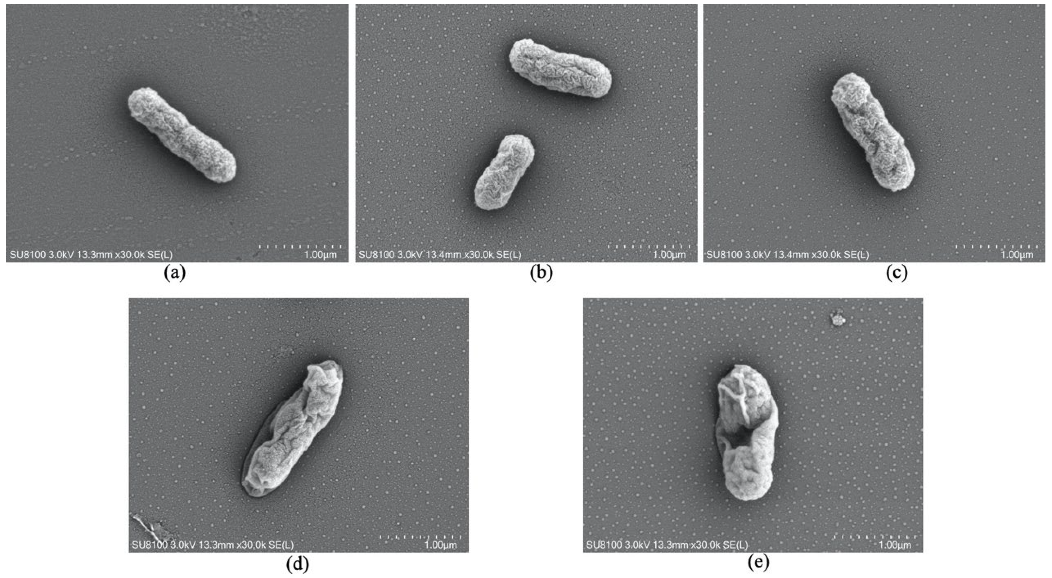 Molecules 27 02948 g008