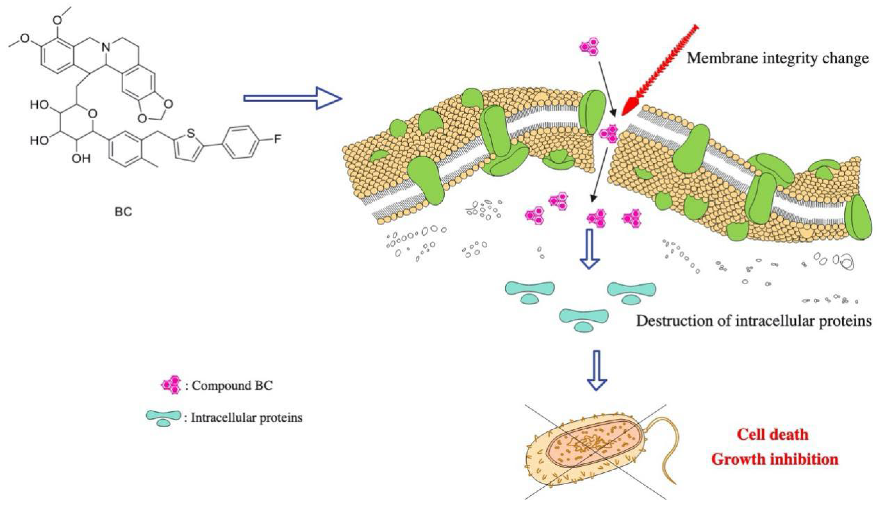 Molecules 27 02948 g009