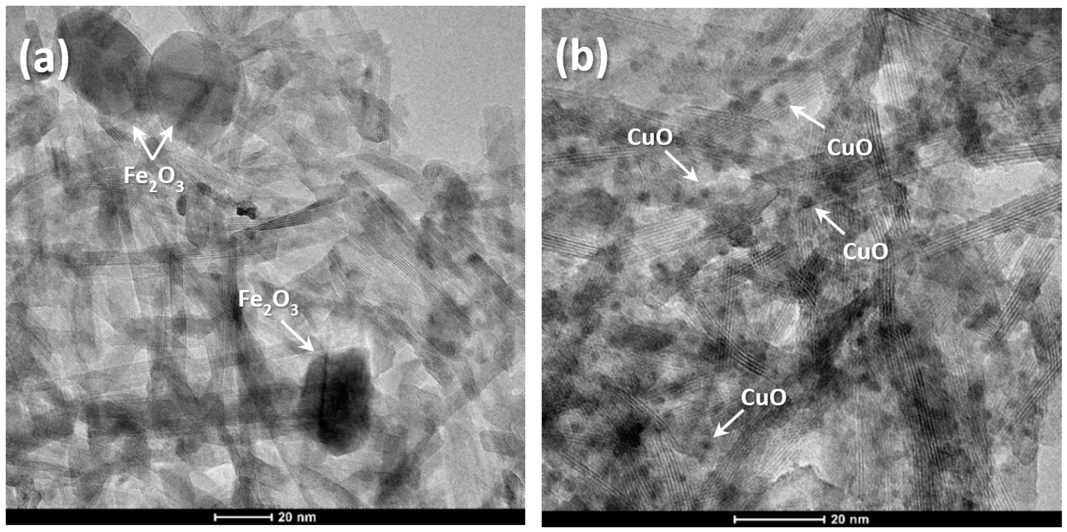 Molecules 27 02951 g001