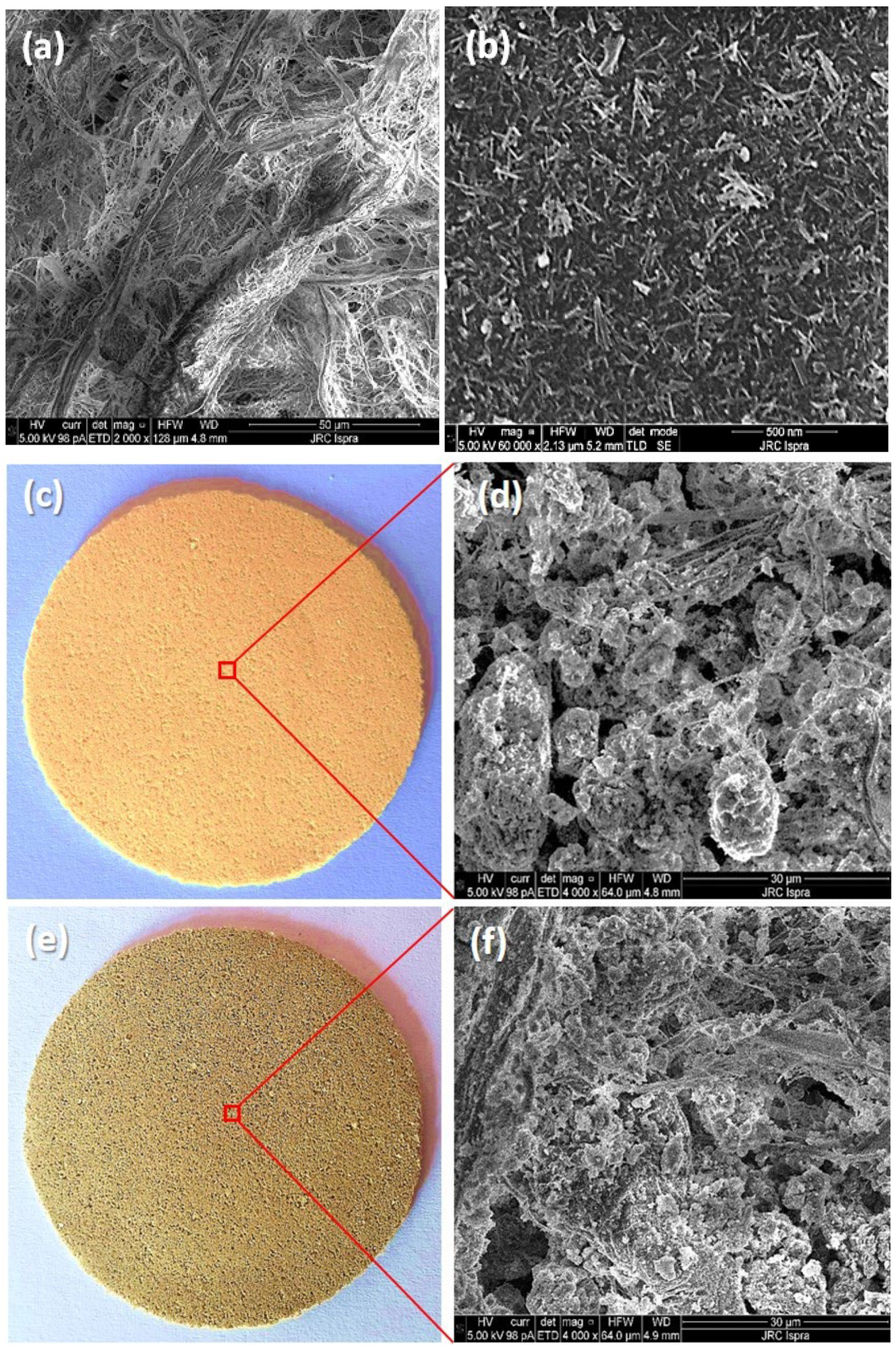 Molecules 27 02951 g003