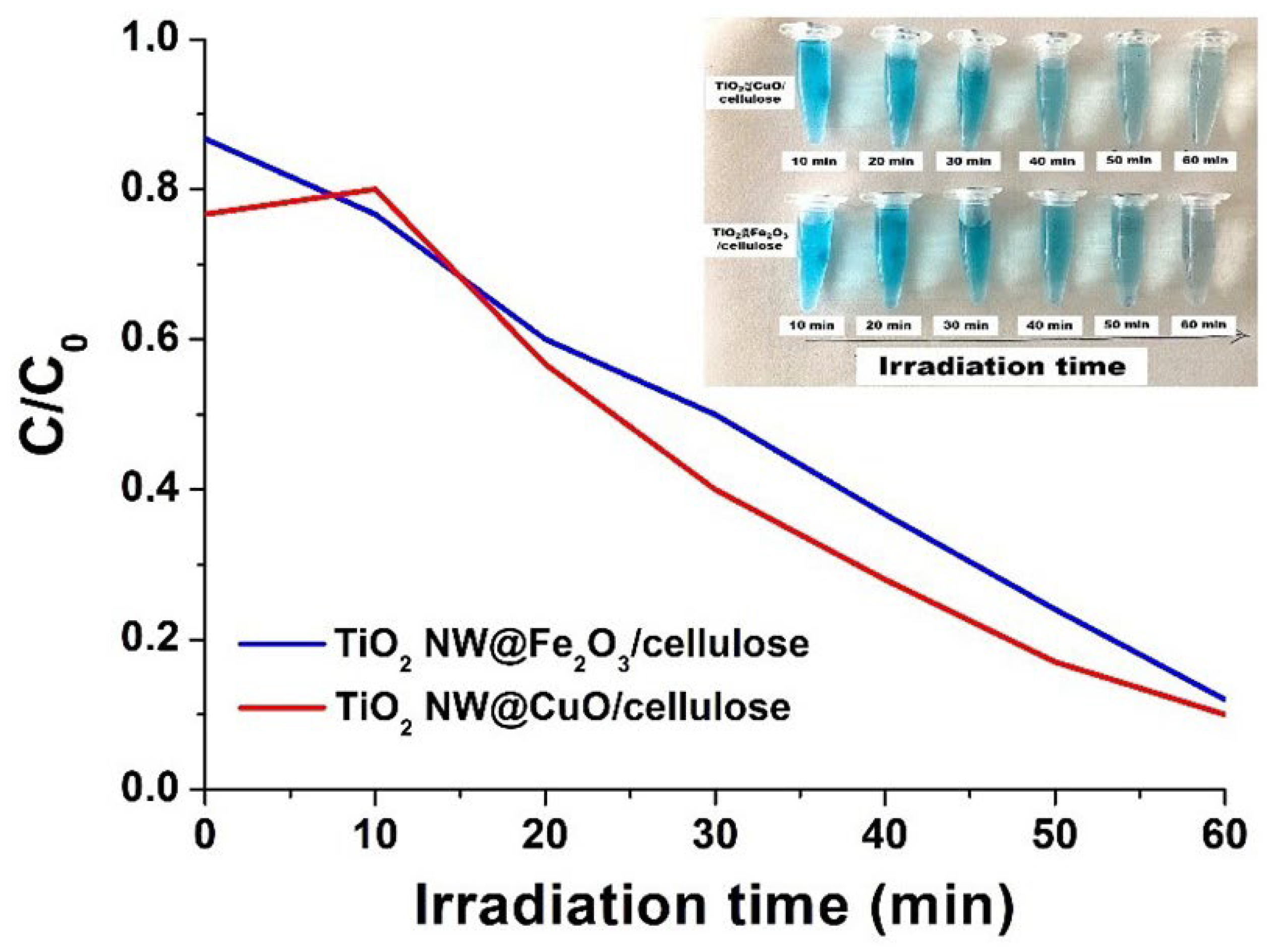 Molecules 27 02951 g005