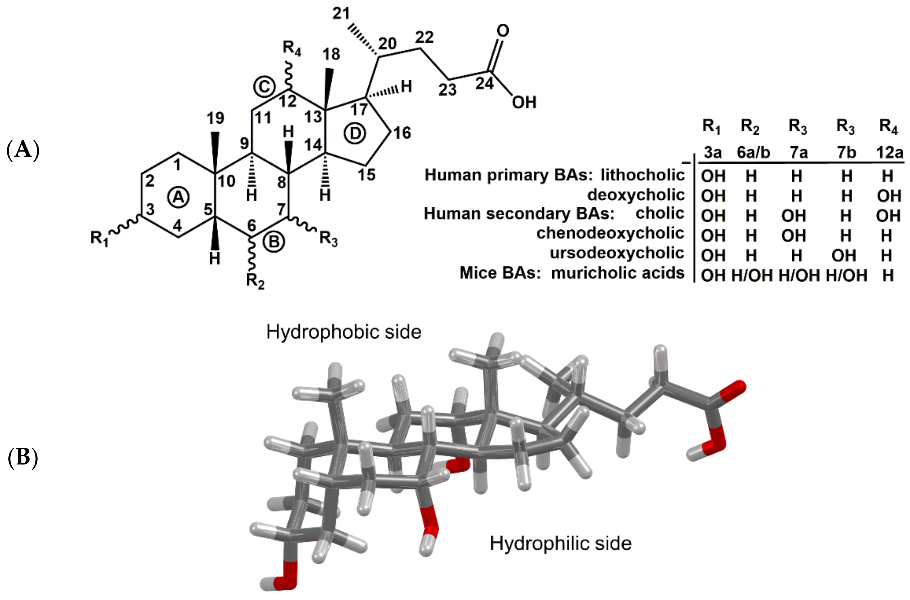 Molecules 27 02961 g001 Molecules 27 02961 g001