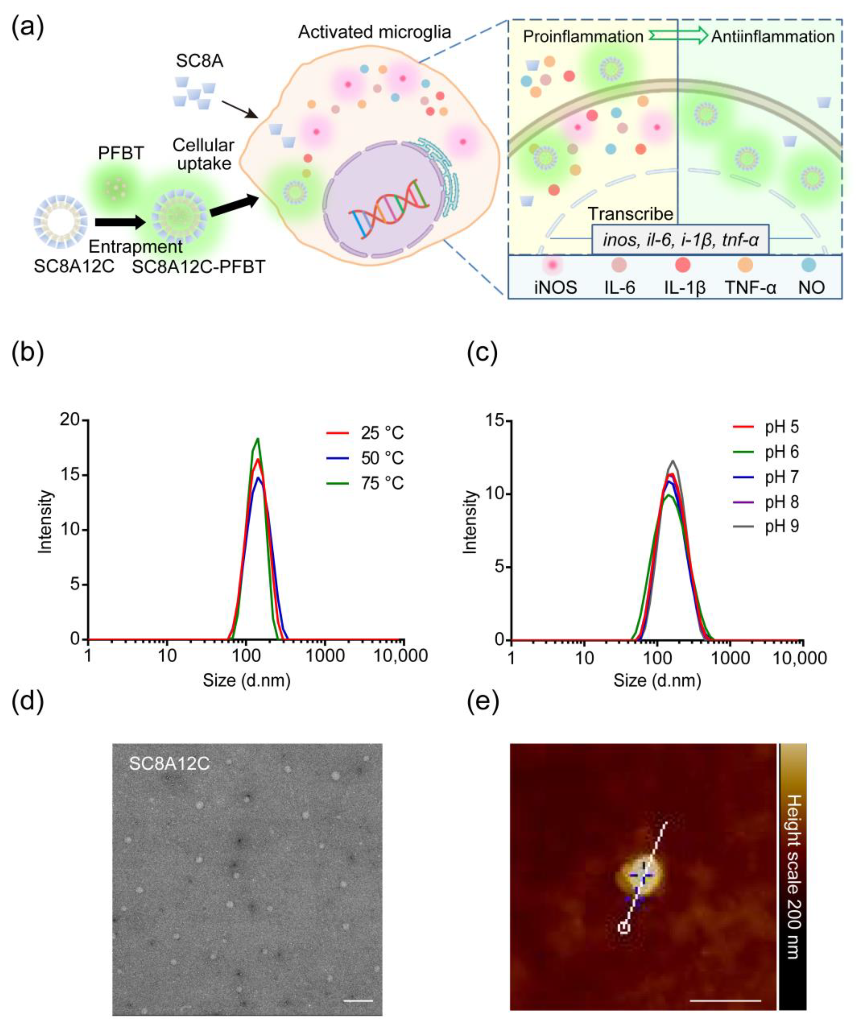 Molecules 27 02967 g002