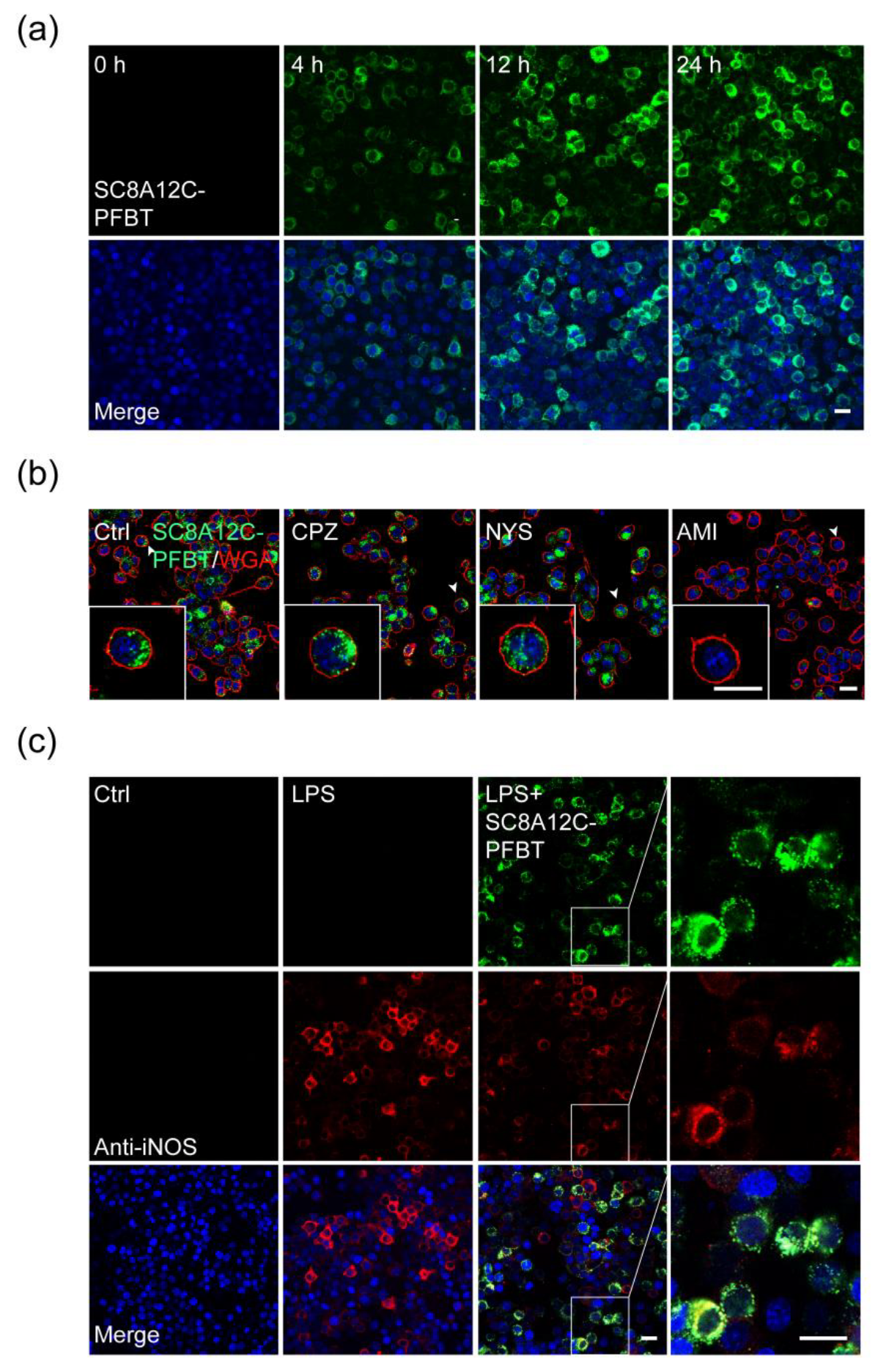 Molecules 27 02967 g004
