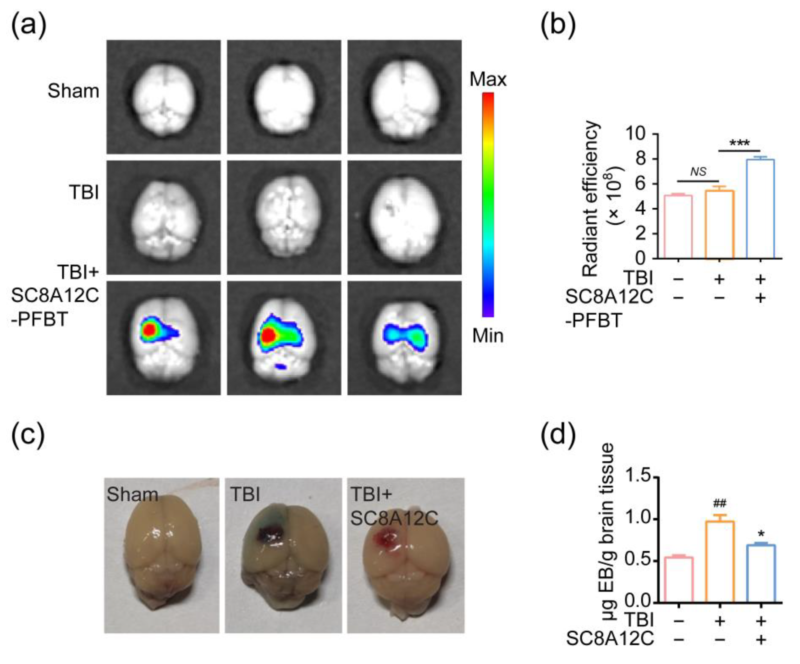 Molecules 27 02967 g005