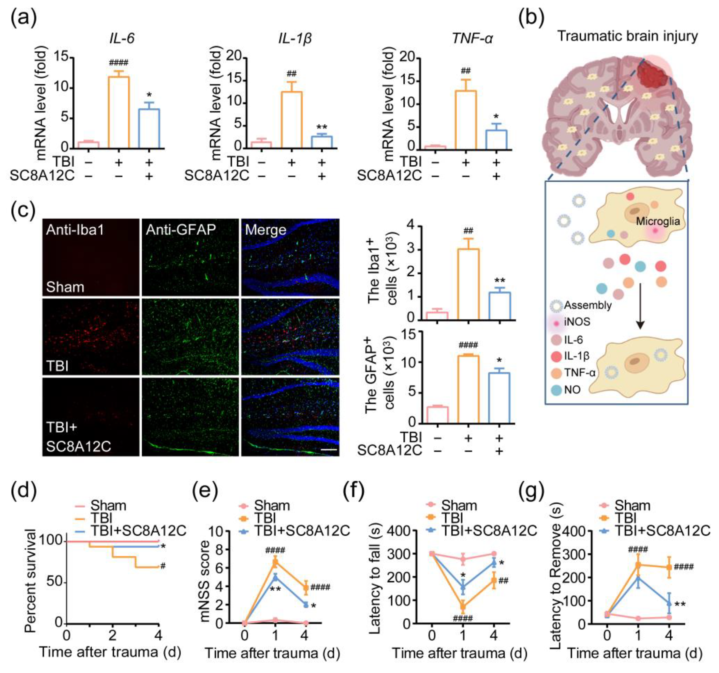 Molecules 27 02967 g006