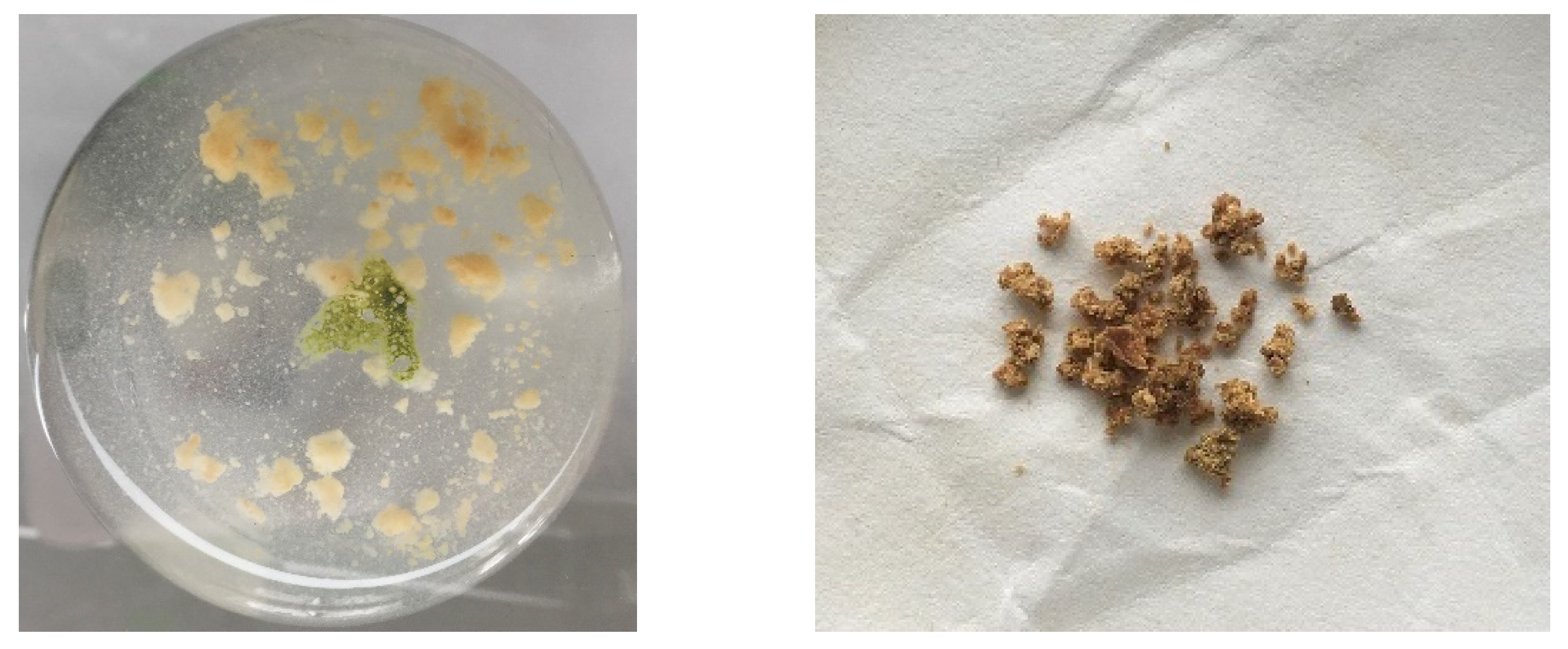 Molecules 27 02972 g002