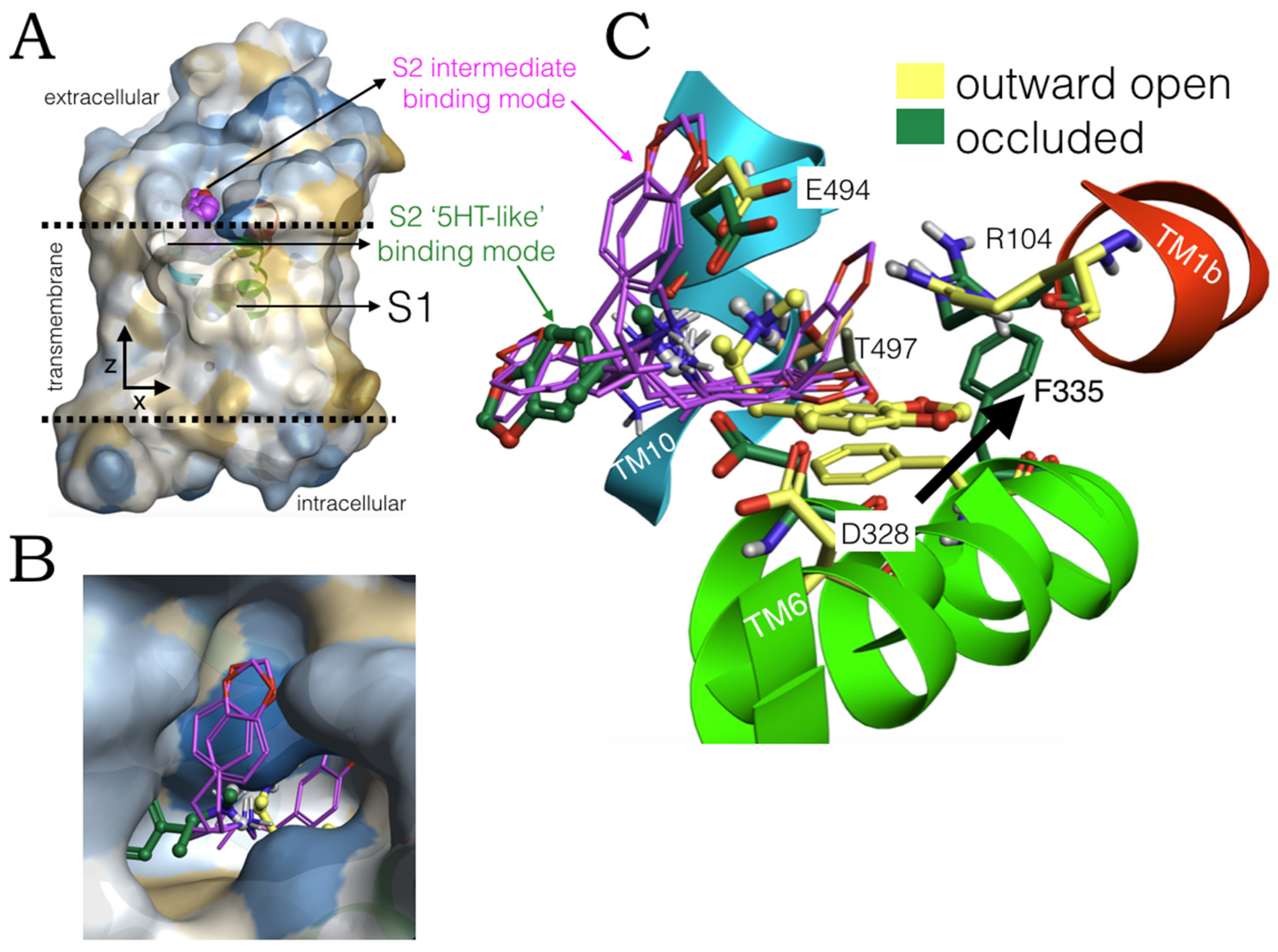 Molecules 27 02977 g005