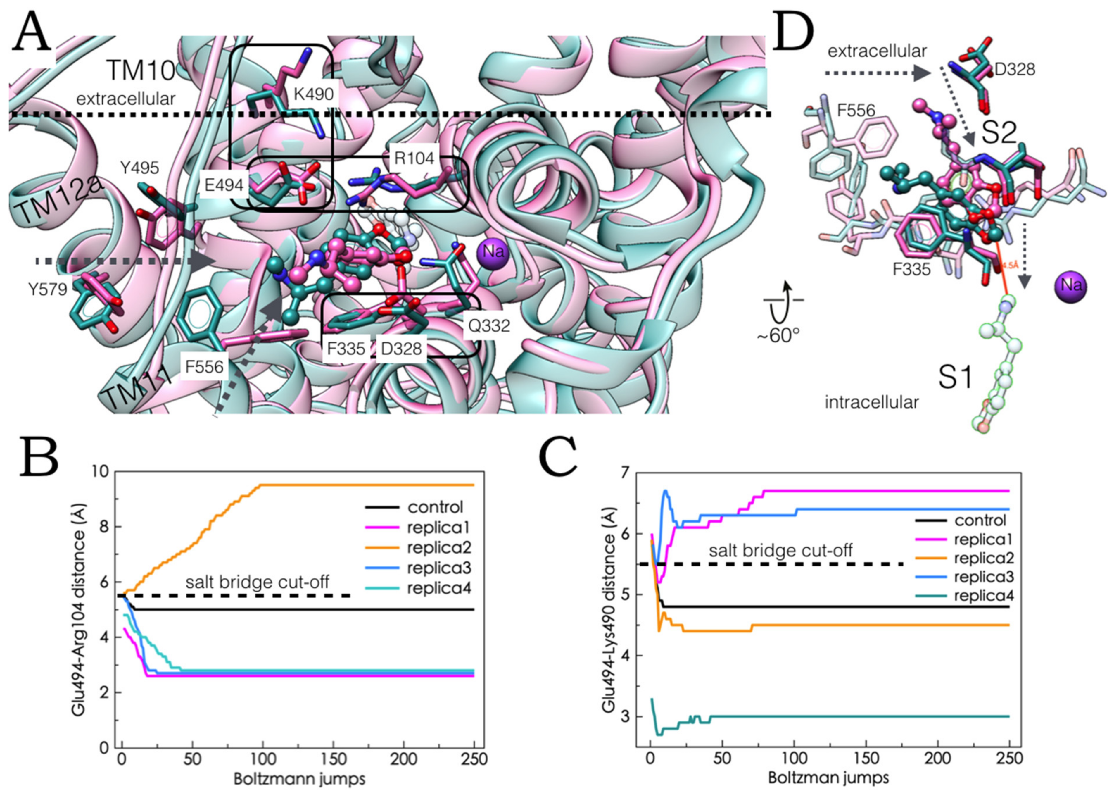 Molecules 27 02977 g007