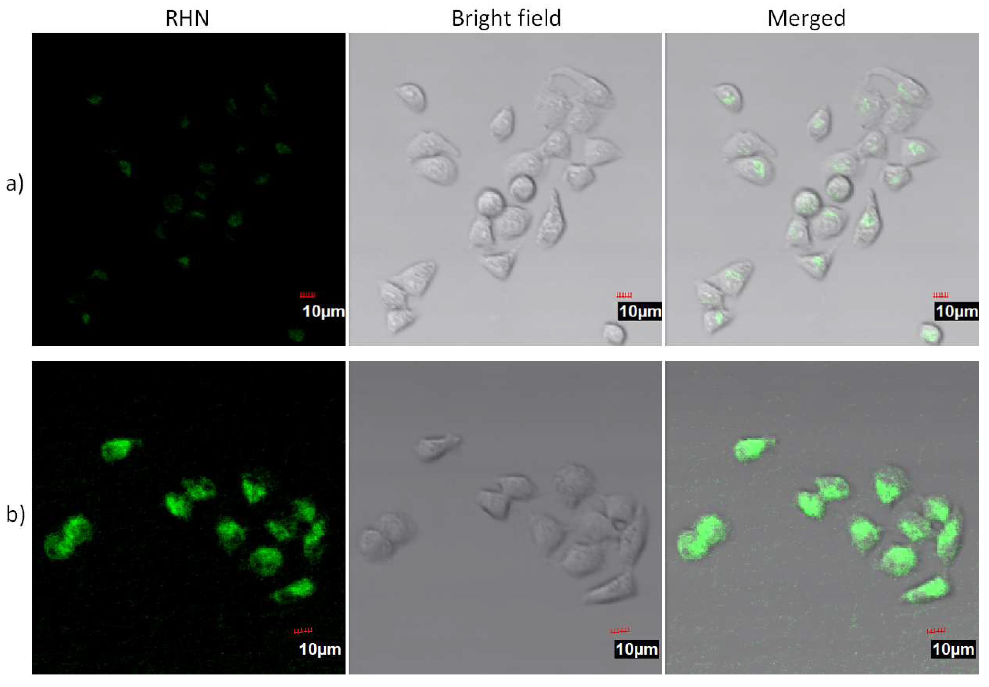 Molecules 27 02978 g005