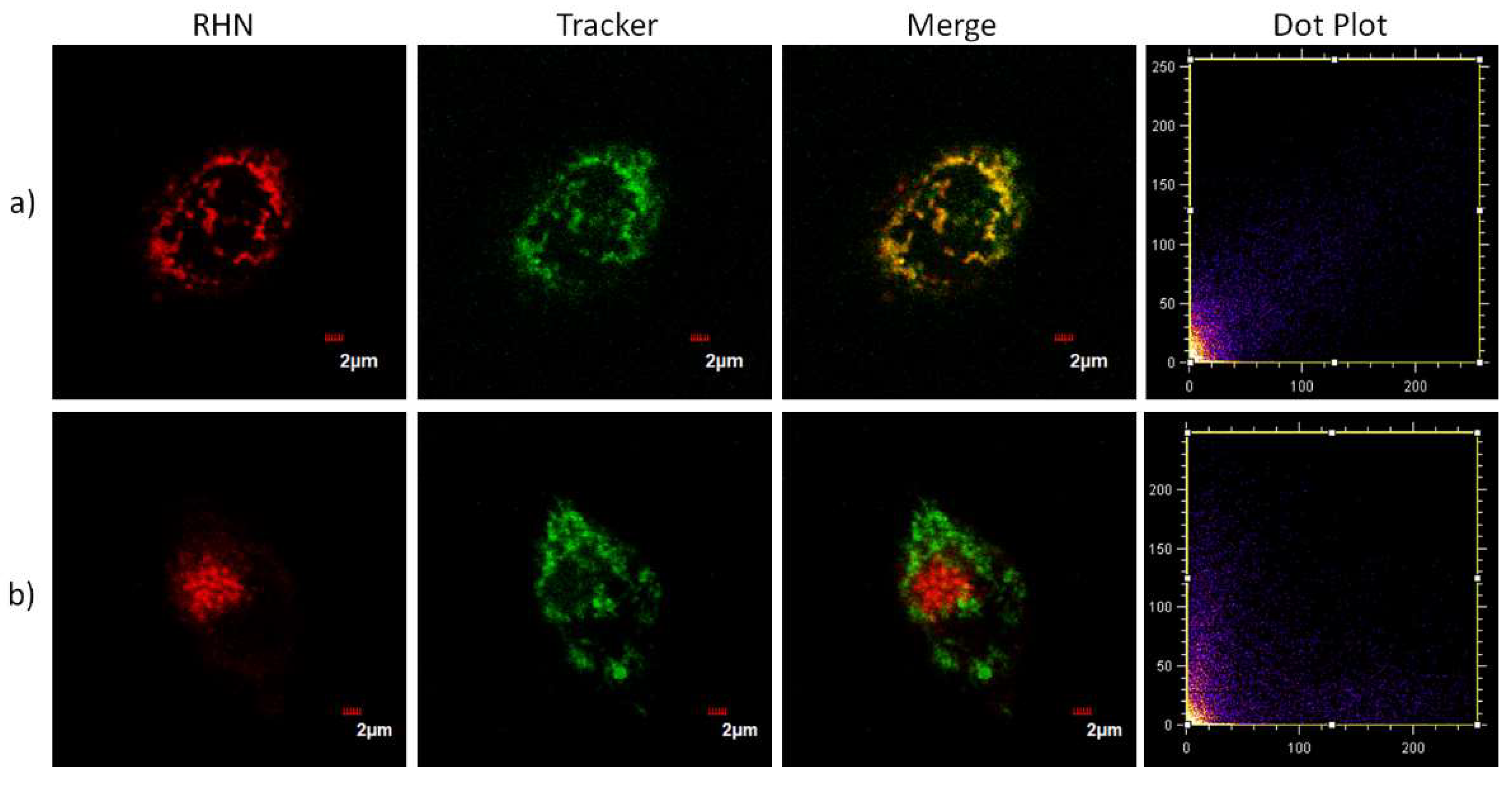 Molecules 27 02978 g006