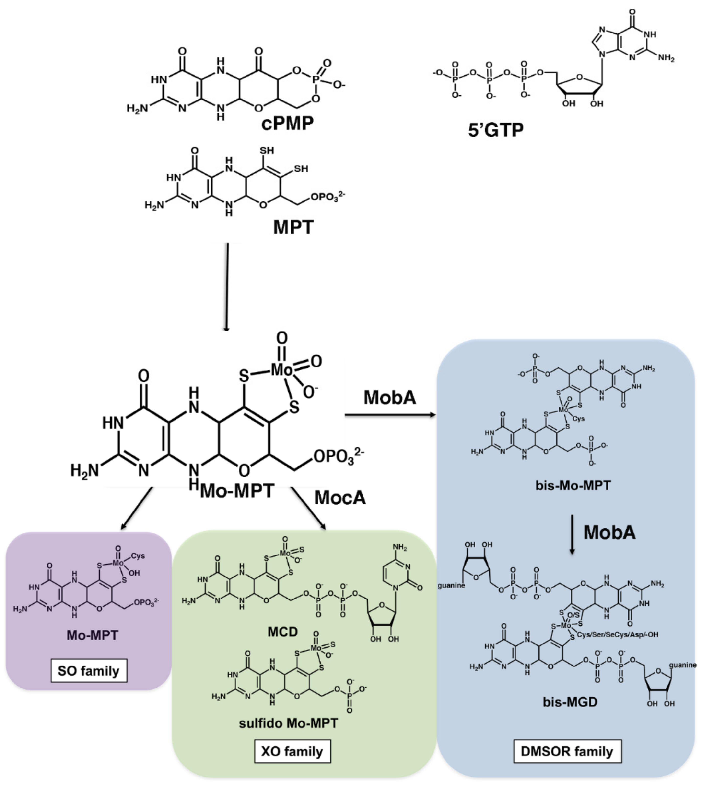 Molecules 27 02993 g001 Molecules 27 02993 g001
