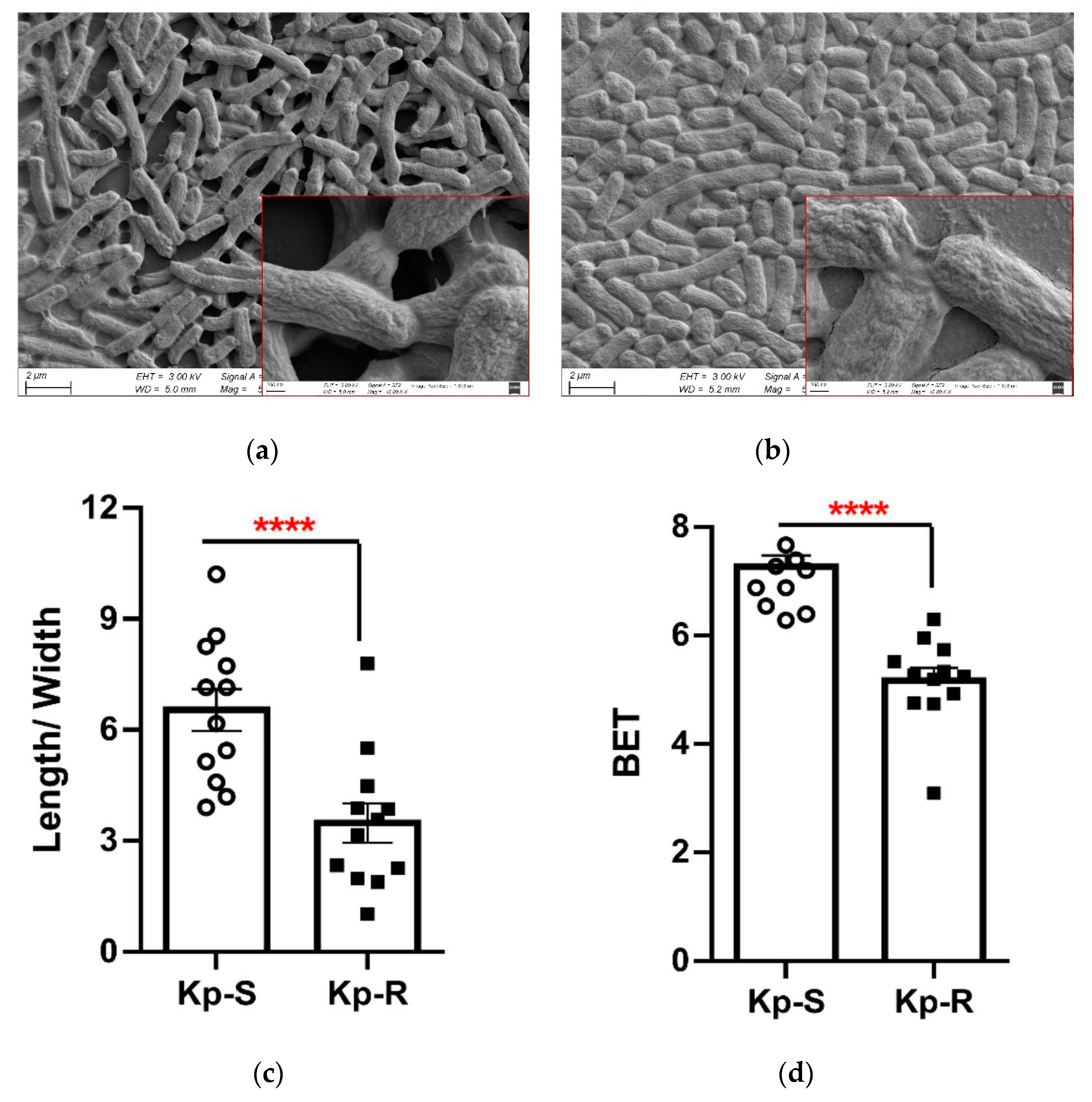 Molecules 27 02994 g001a Molecules 27 02994 g001a