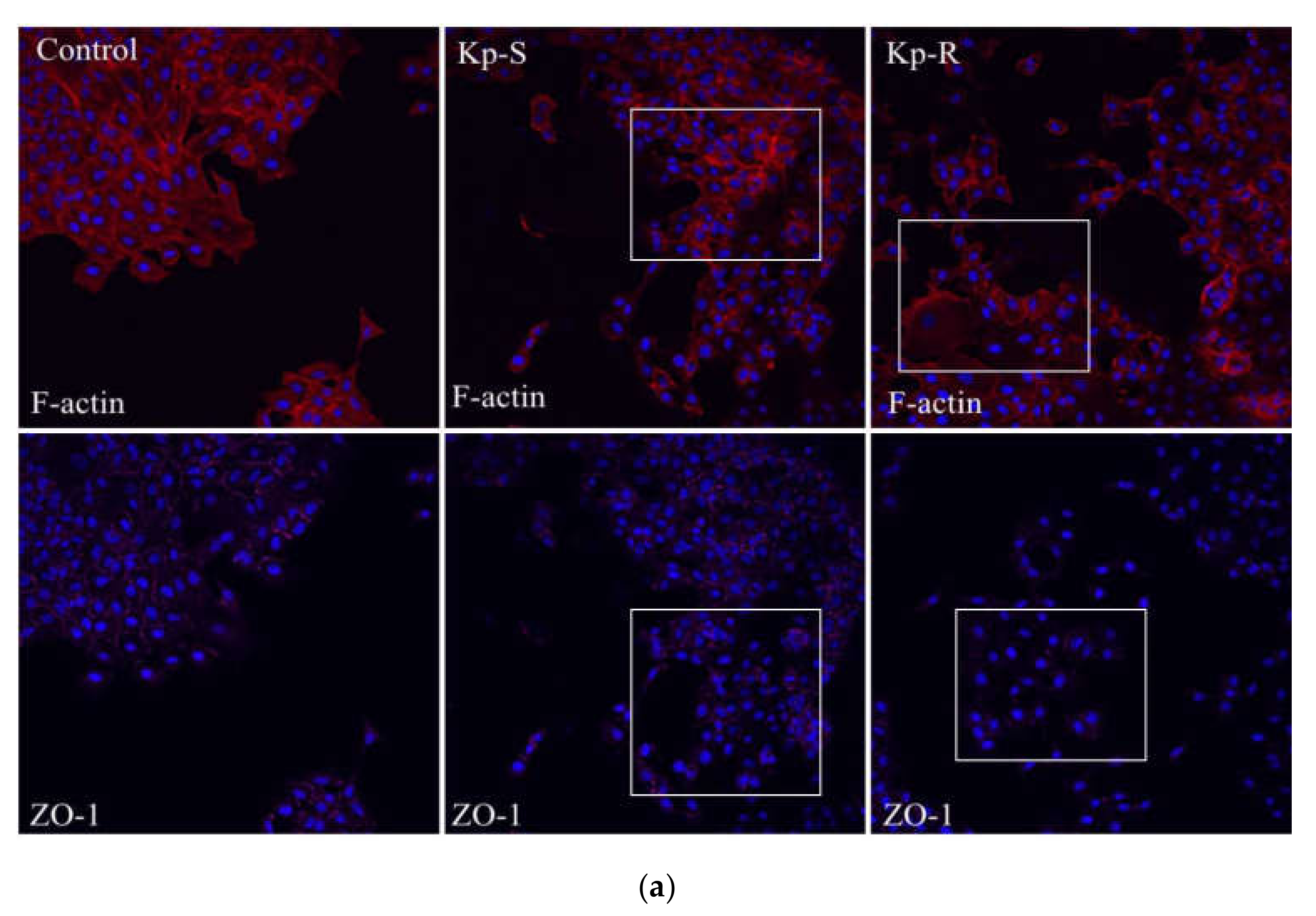 Molecules 27 02994 g003a Molecules 27 02994 g003a