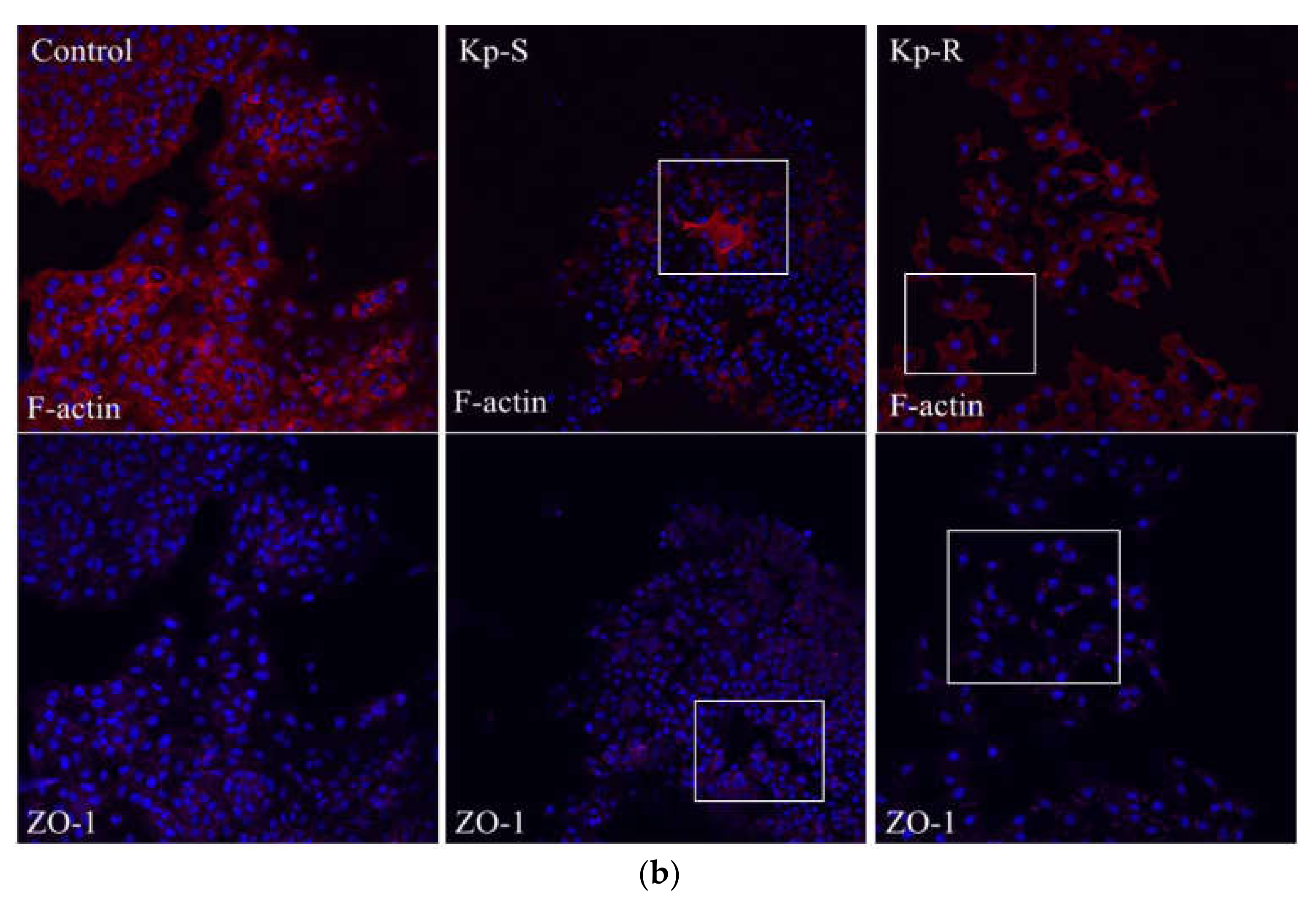 Molecules 27 02994 g003b Molecules 27 02994 g003b
