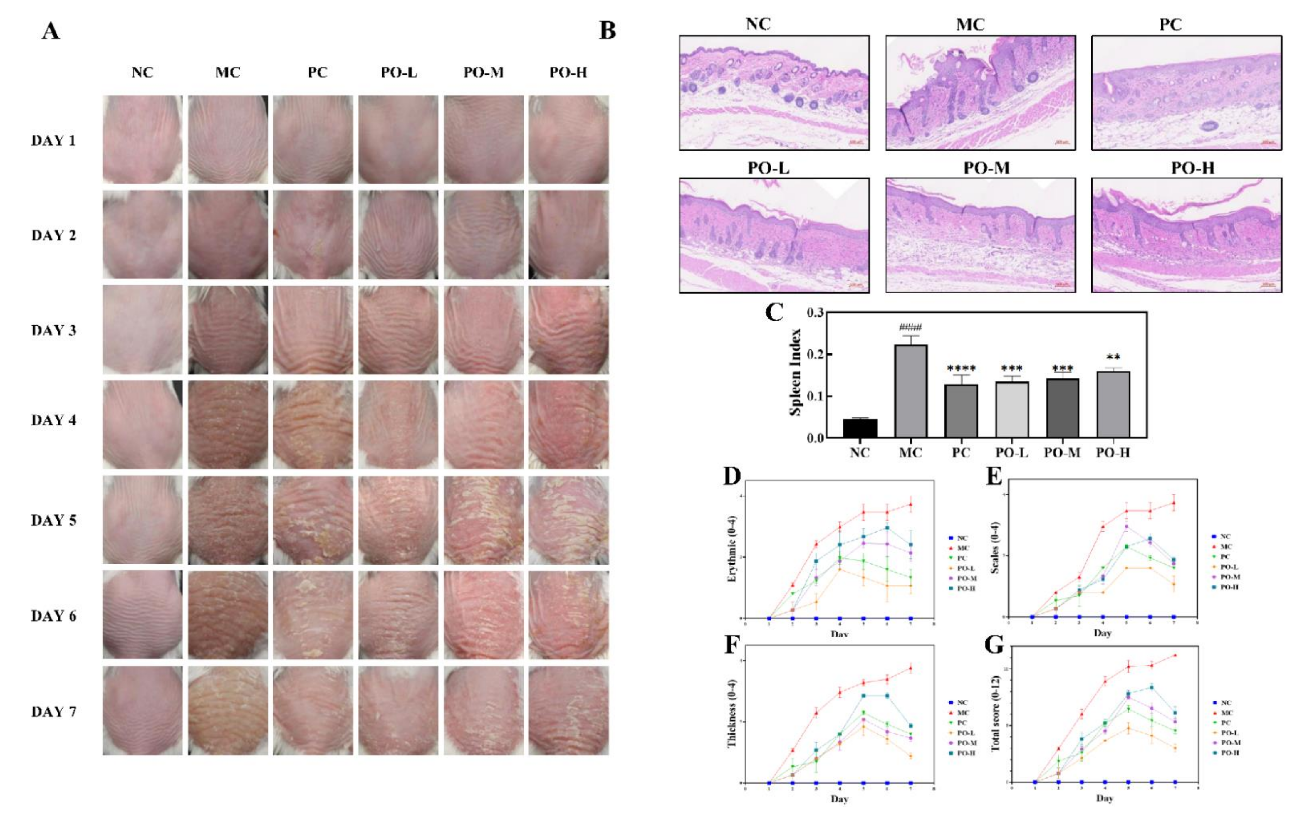 Molecules 27 02996 g001