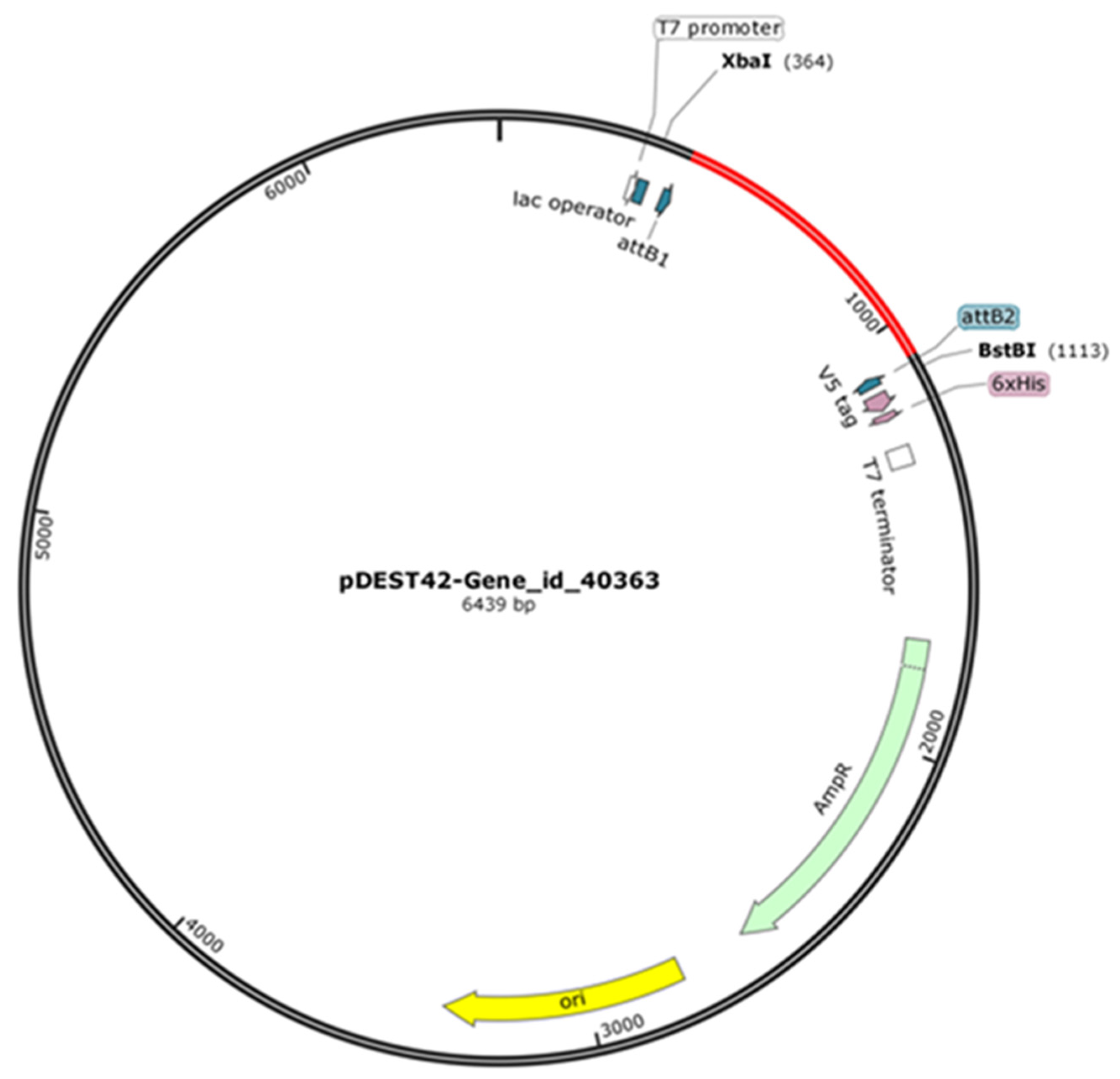 Molecules 27 02999 g008