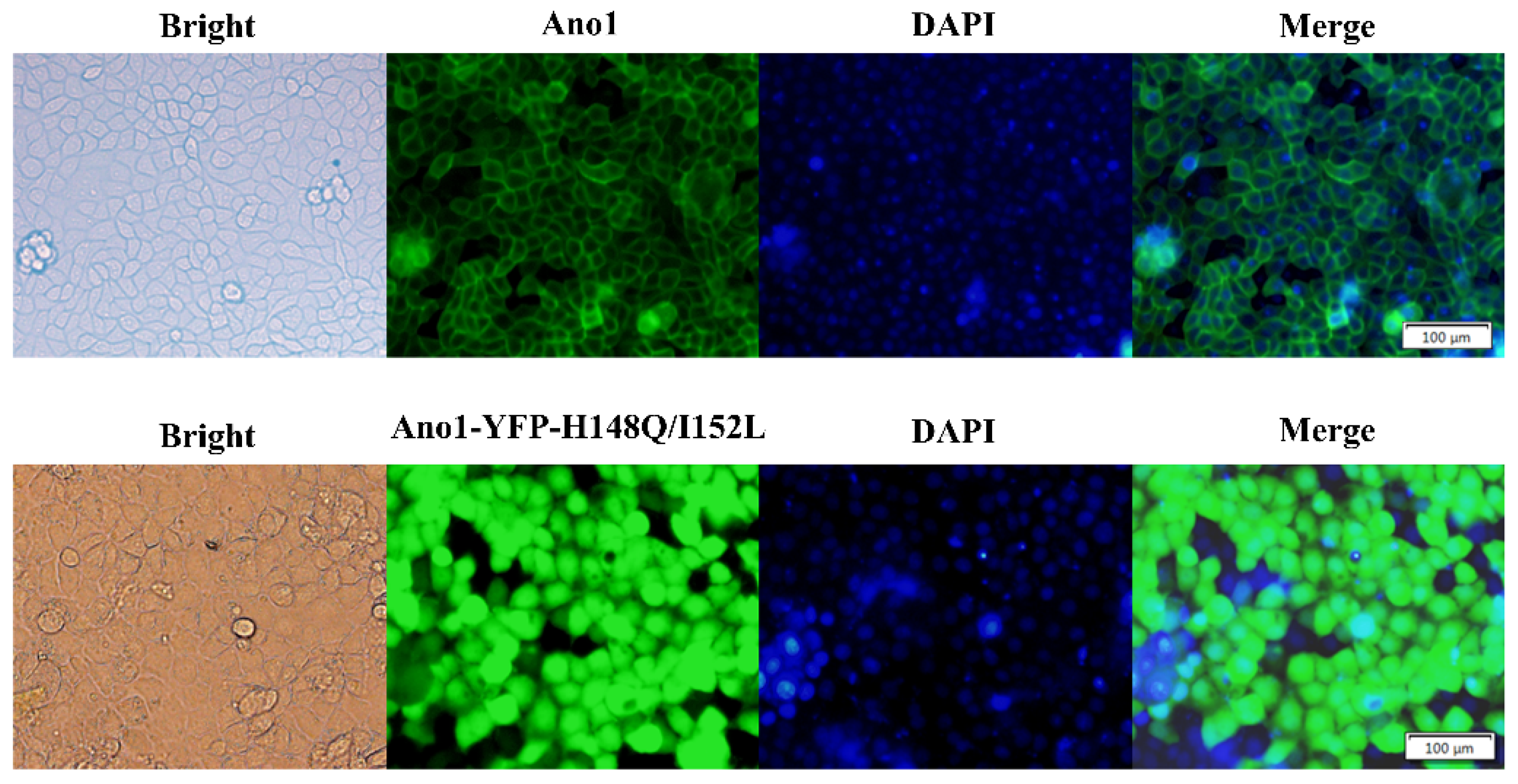 Molecules 27 03003 g002