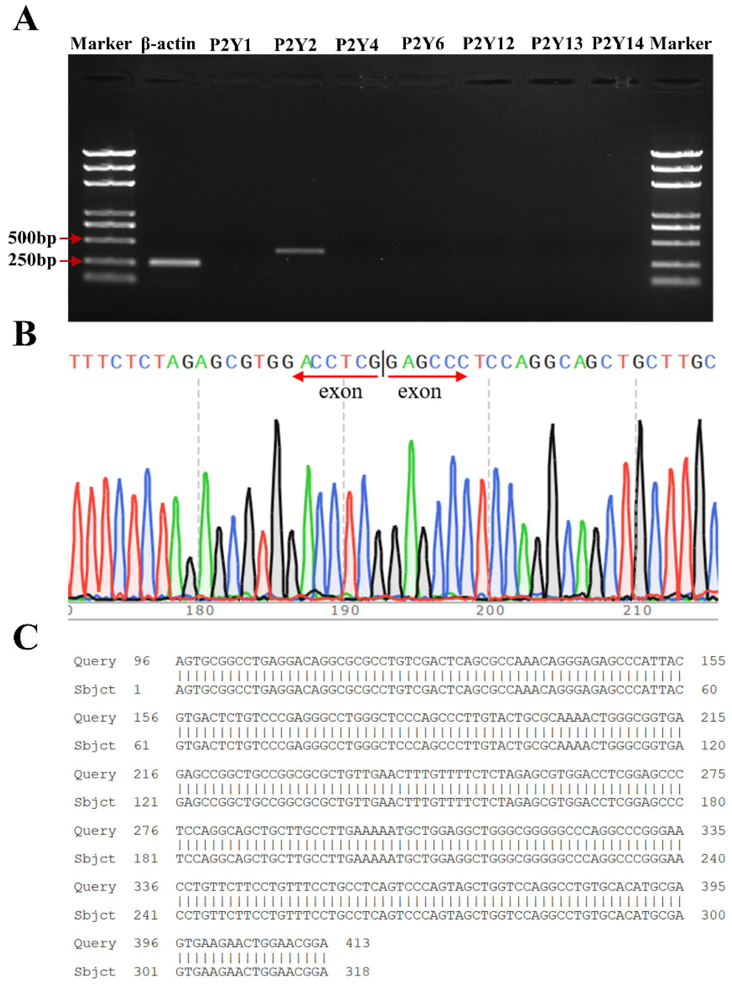 Molecules 27 03003 g004