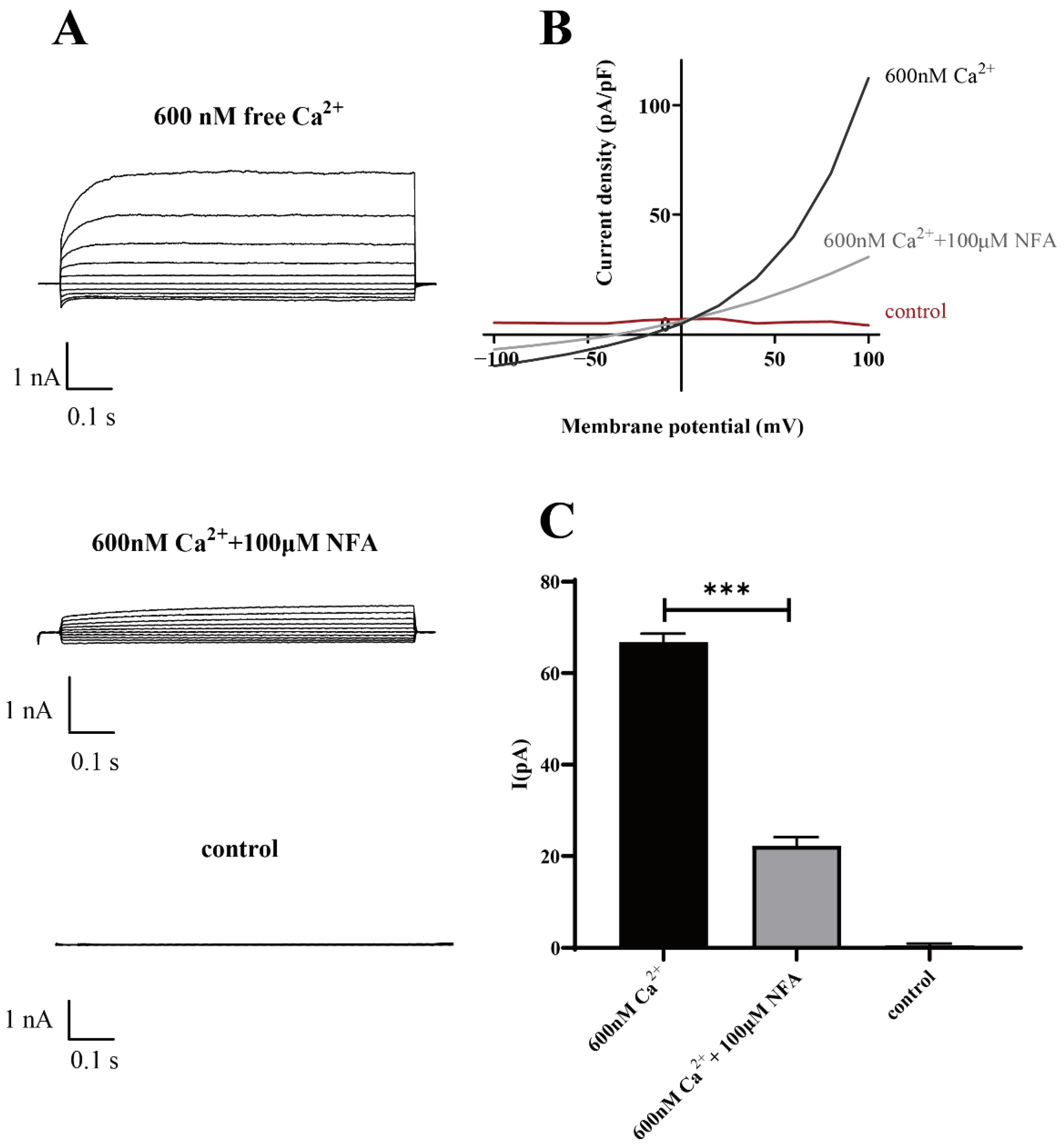 Molecules 27 03003 g007