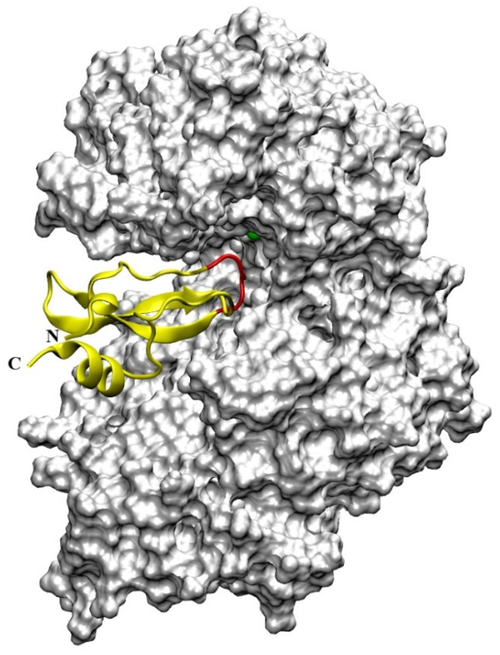 Molecules 27 03006 g008