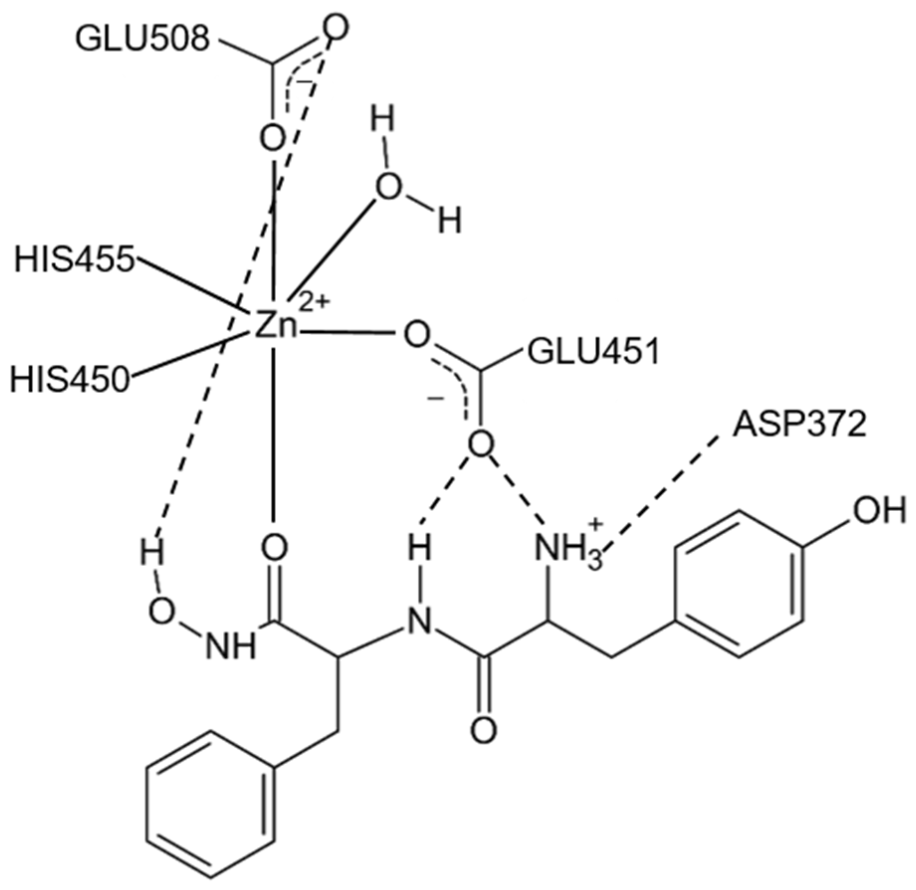 Molecules 27 03006 g012