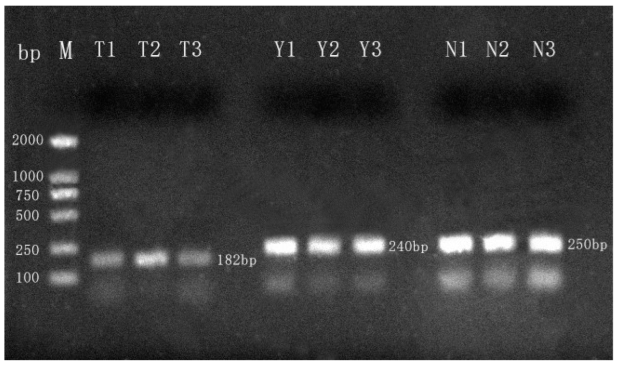 Molecules 27 03017 g001 Molecules 27 03017 g001