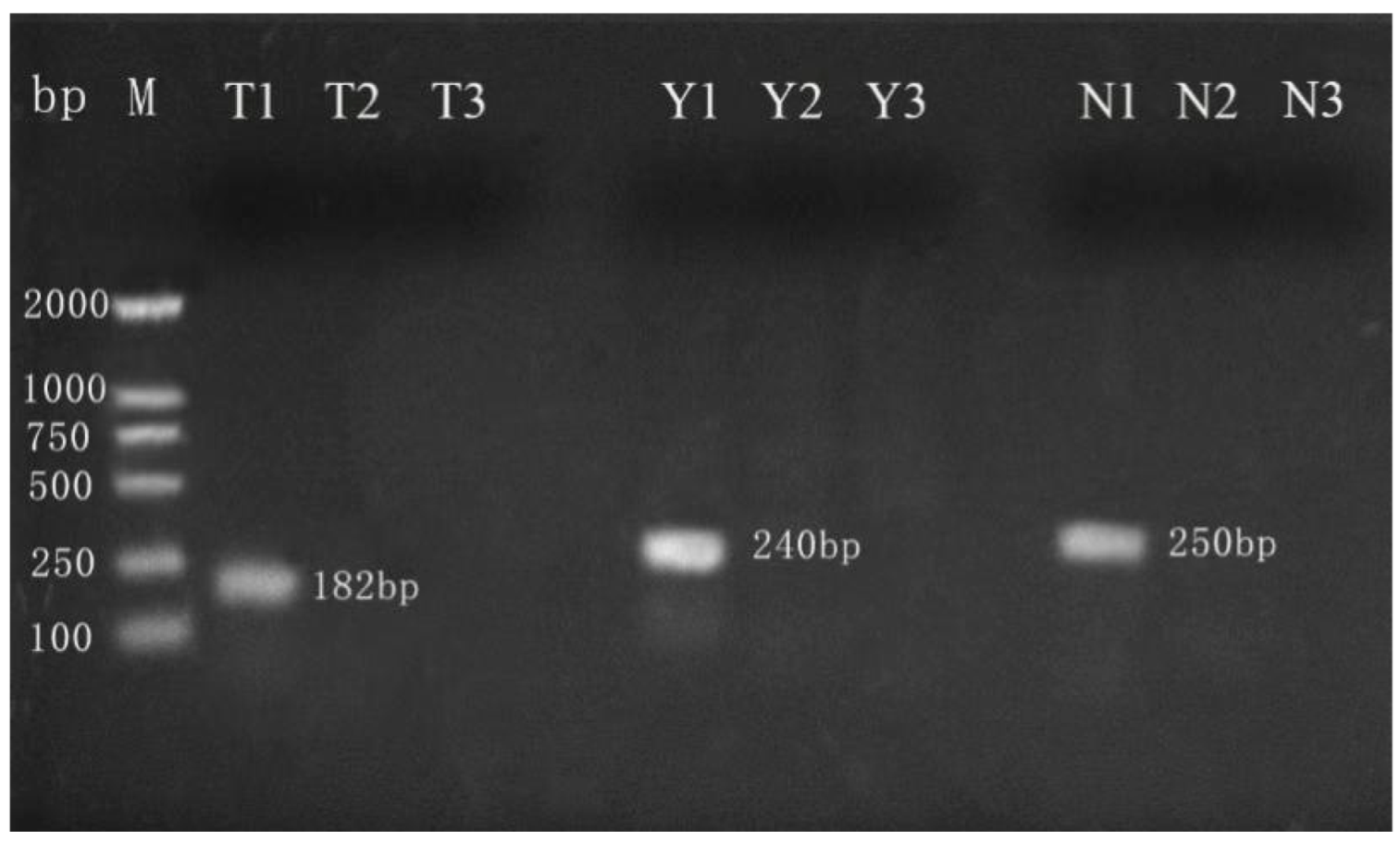 Molecules 27 03017 g002 Molecules 27 03017 g002