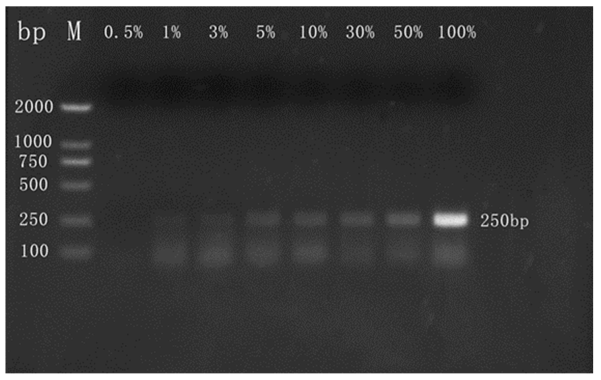 Molecules 27 03017 g004 Molecules 27 03017 g004