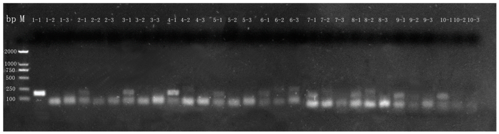 Molecules 27 03017 g005 Molecules 27 03017 g005