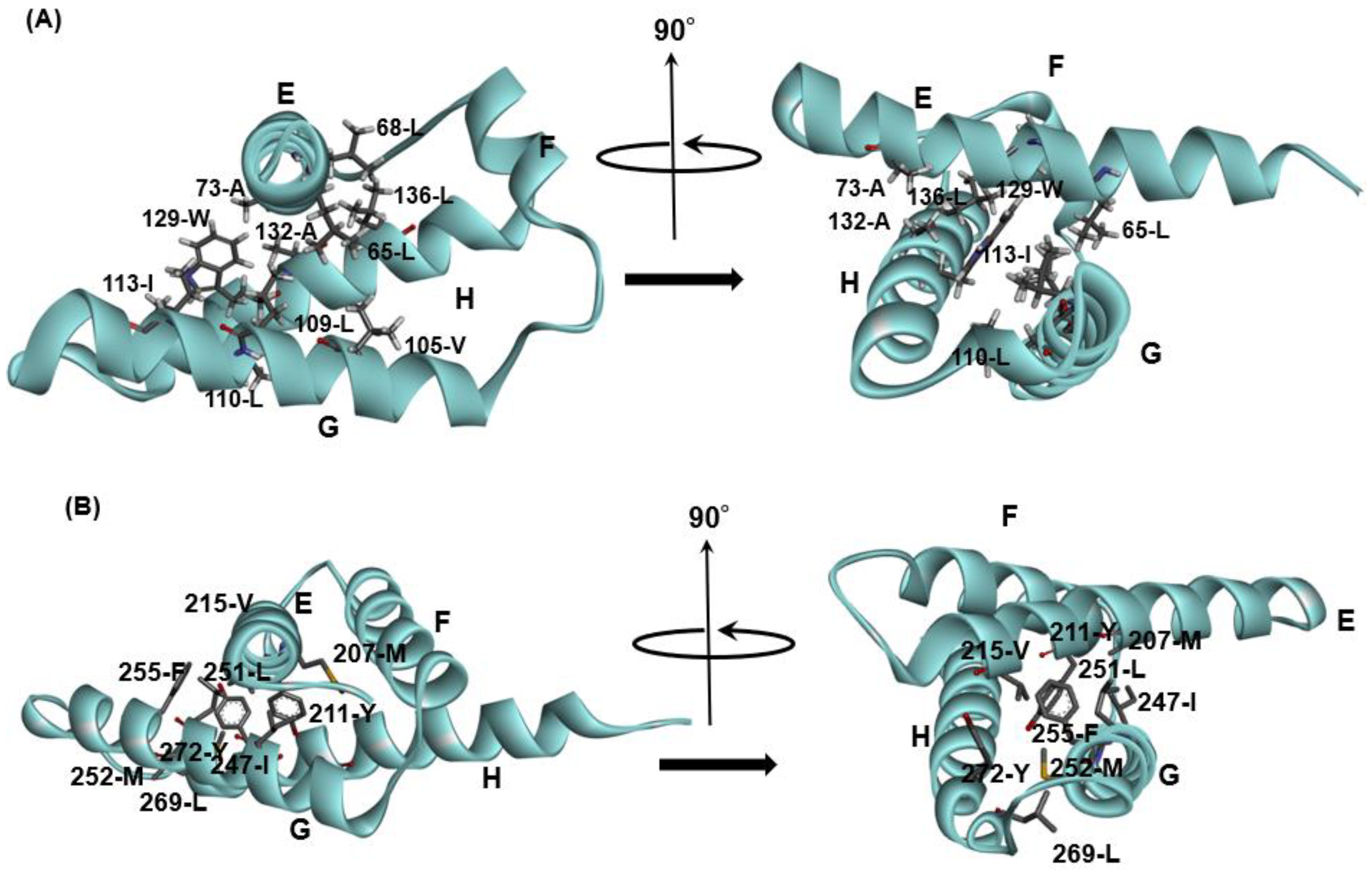 Molecules 27 03020 g005