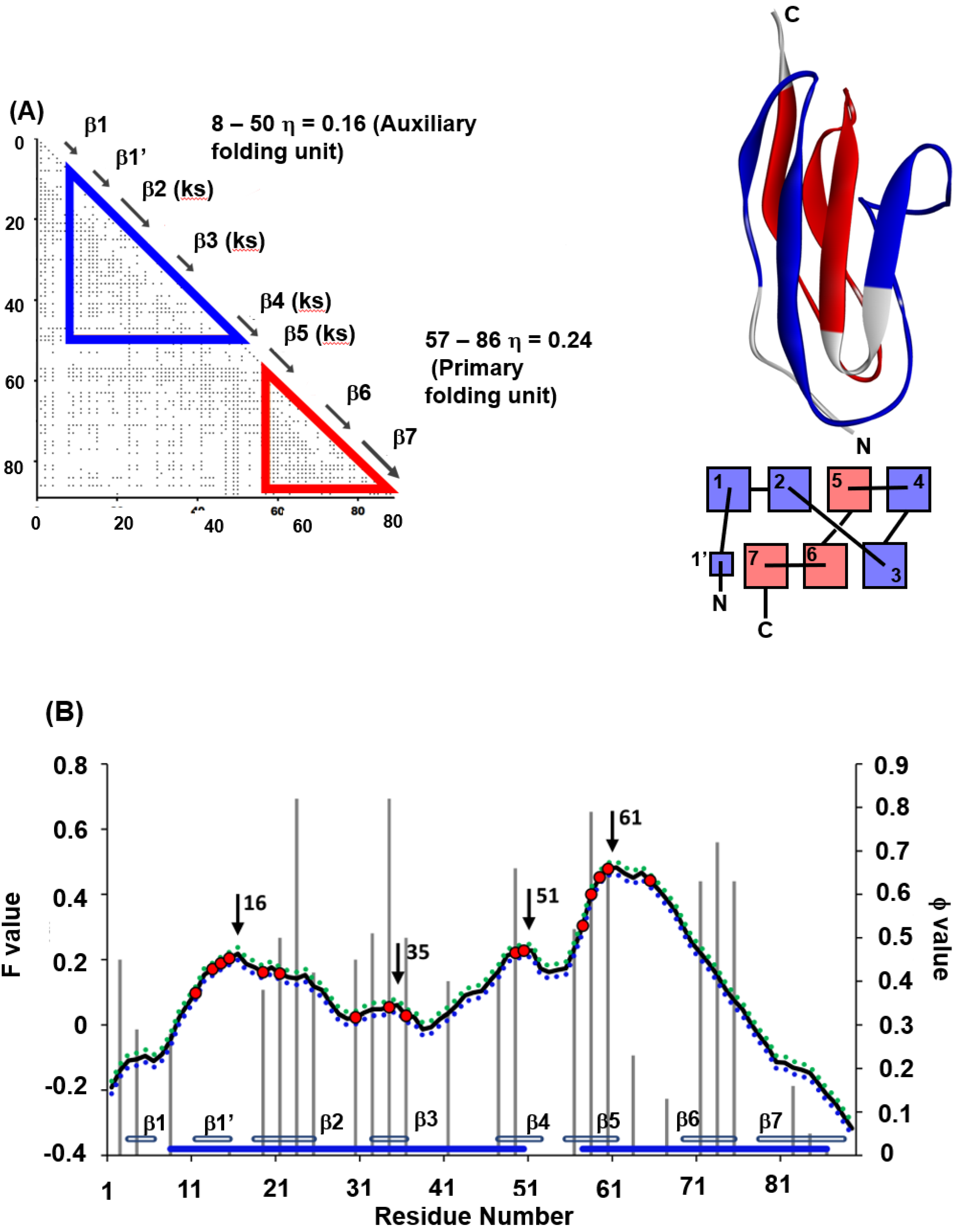 Molecules 27 03020 g009