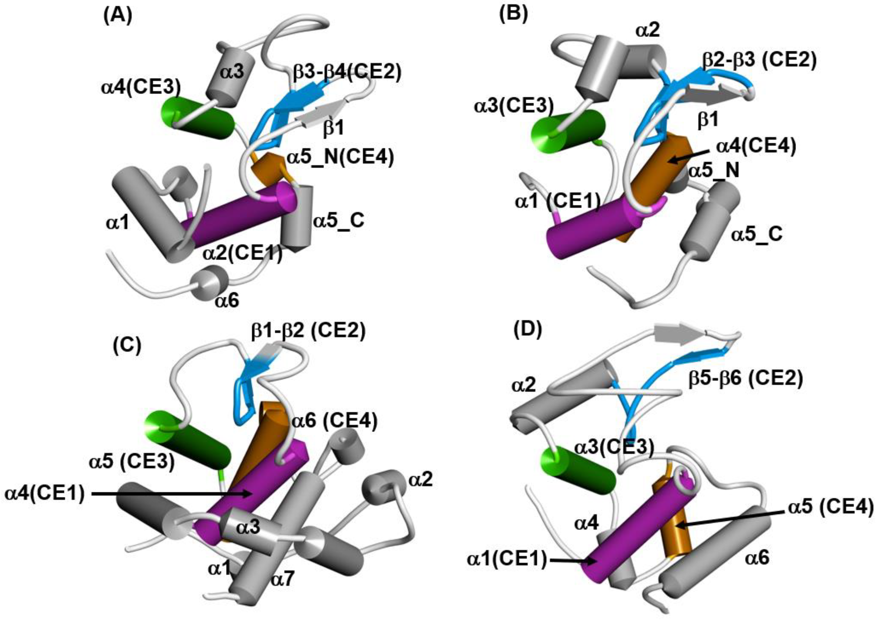 Molecules 27 03020 g012