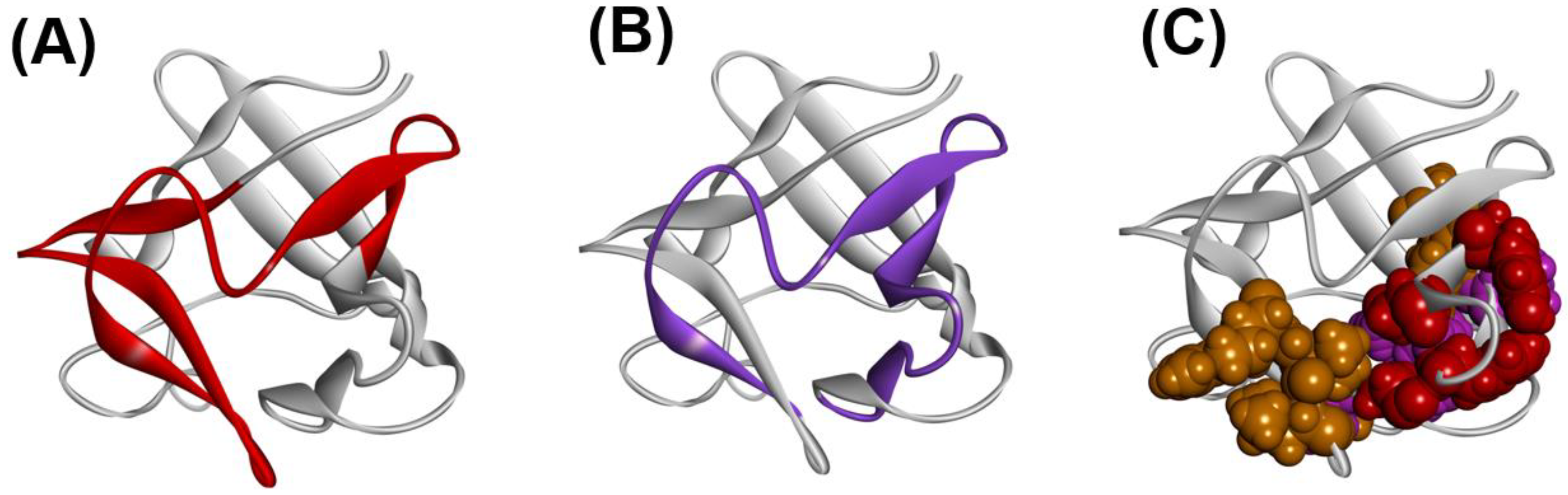 Molecules 27 03020 g016