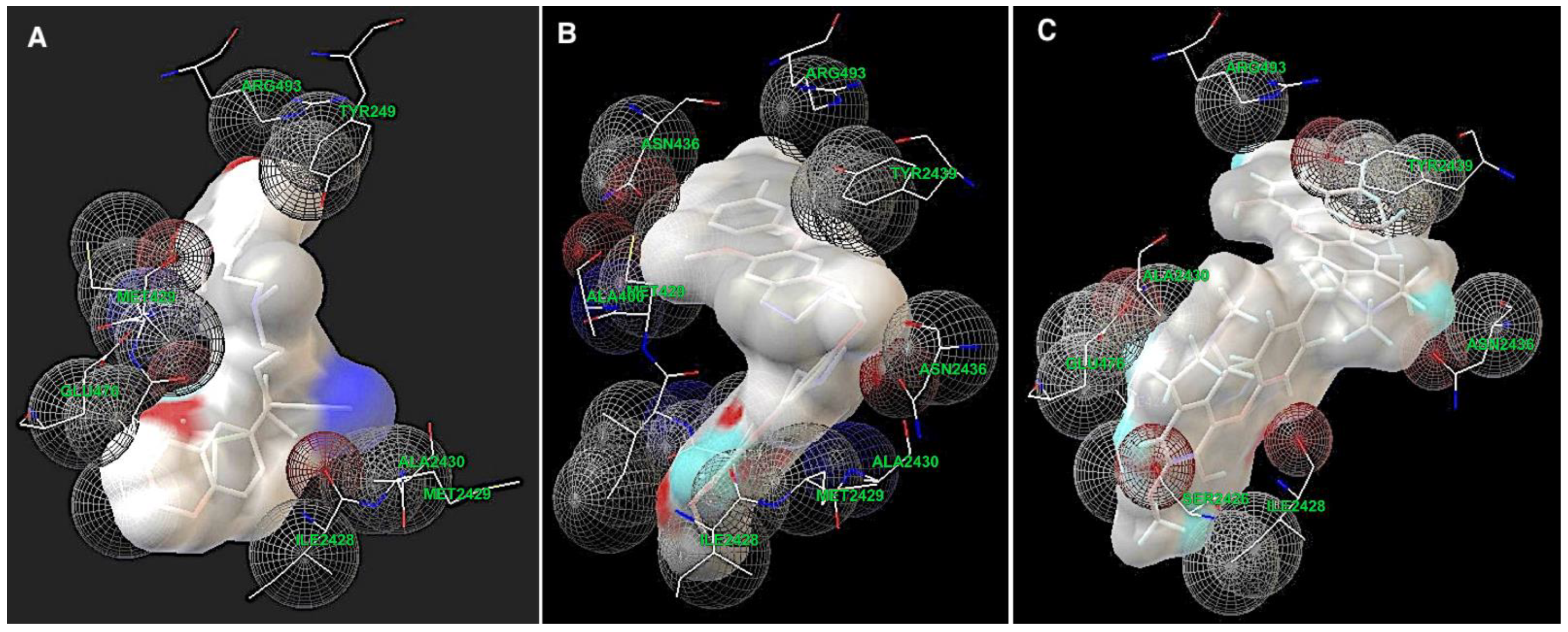 Molecules 27 03030 g007