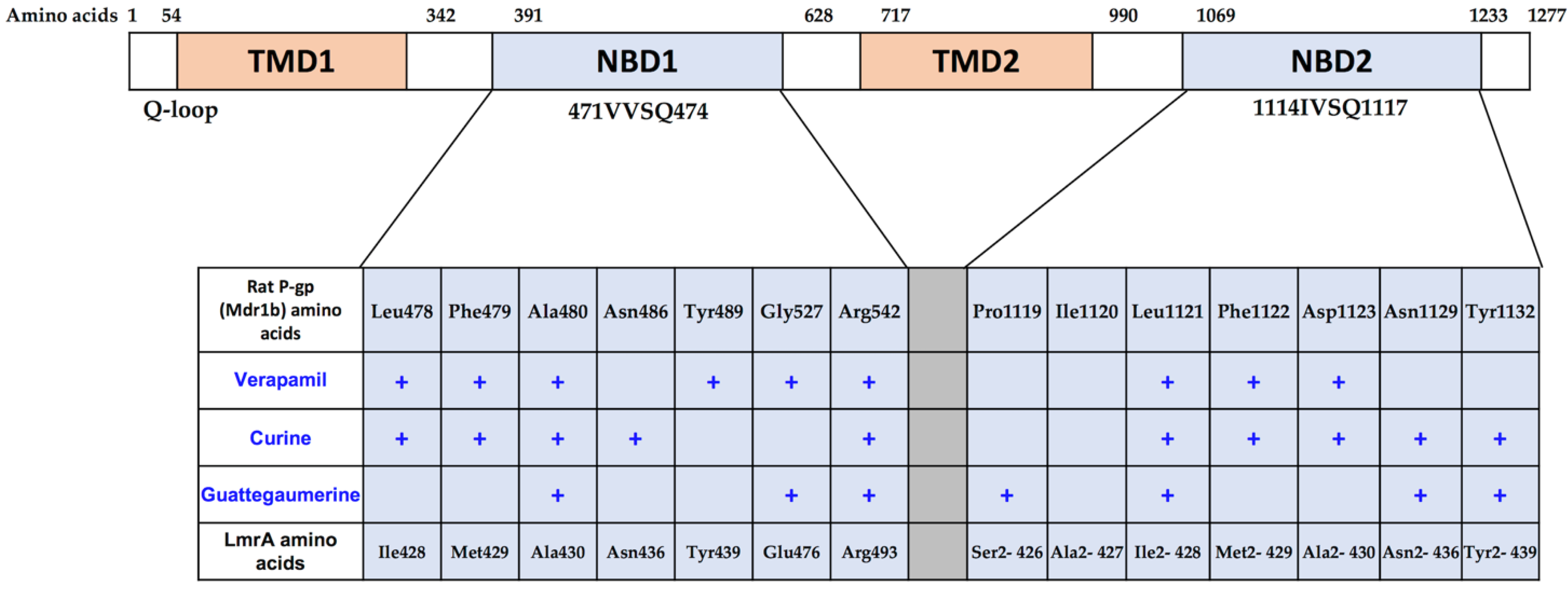 Molecules 27 03030 g008