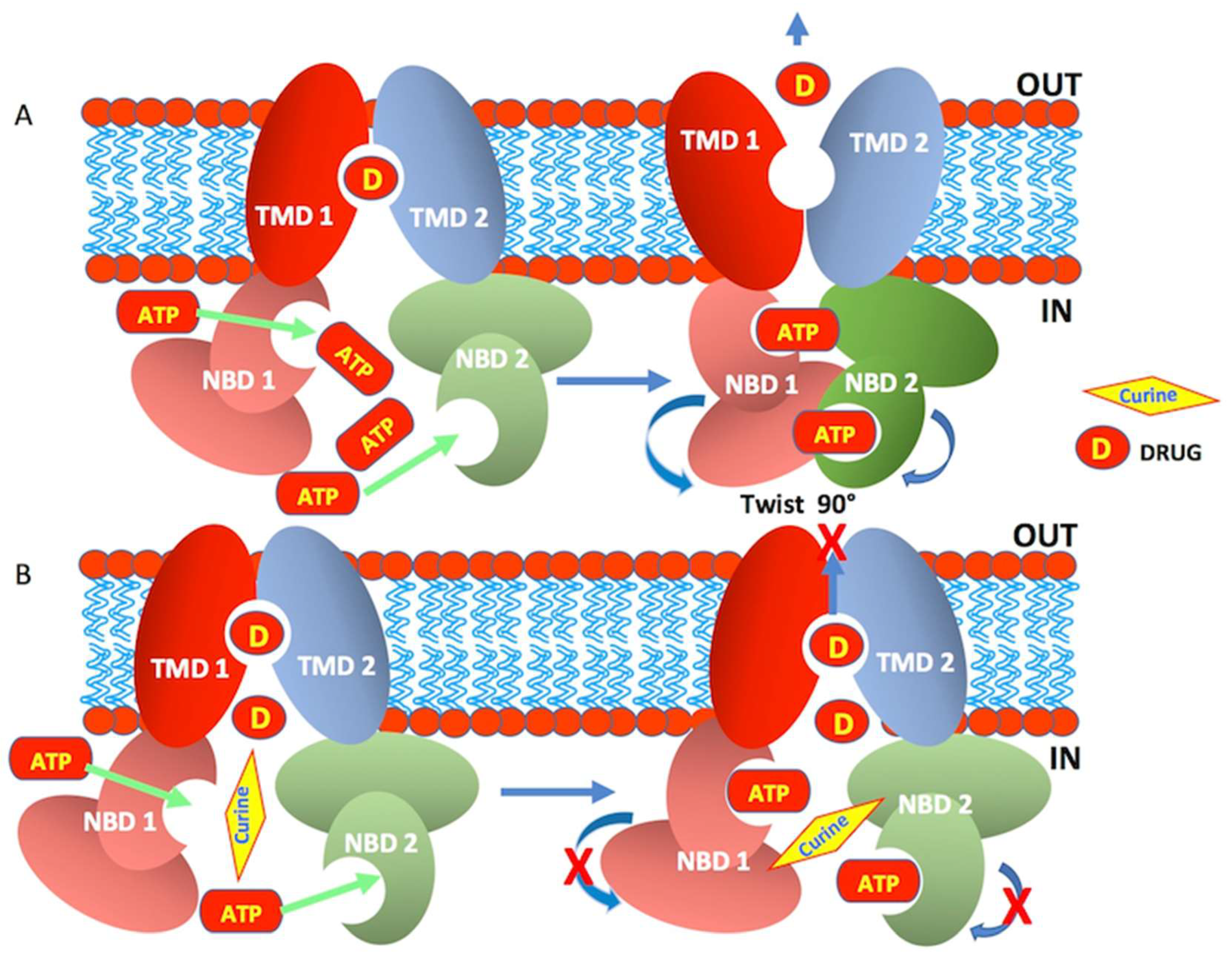 Molecules 27 03030 sch001