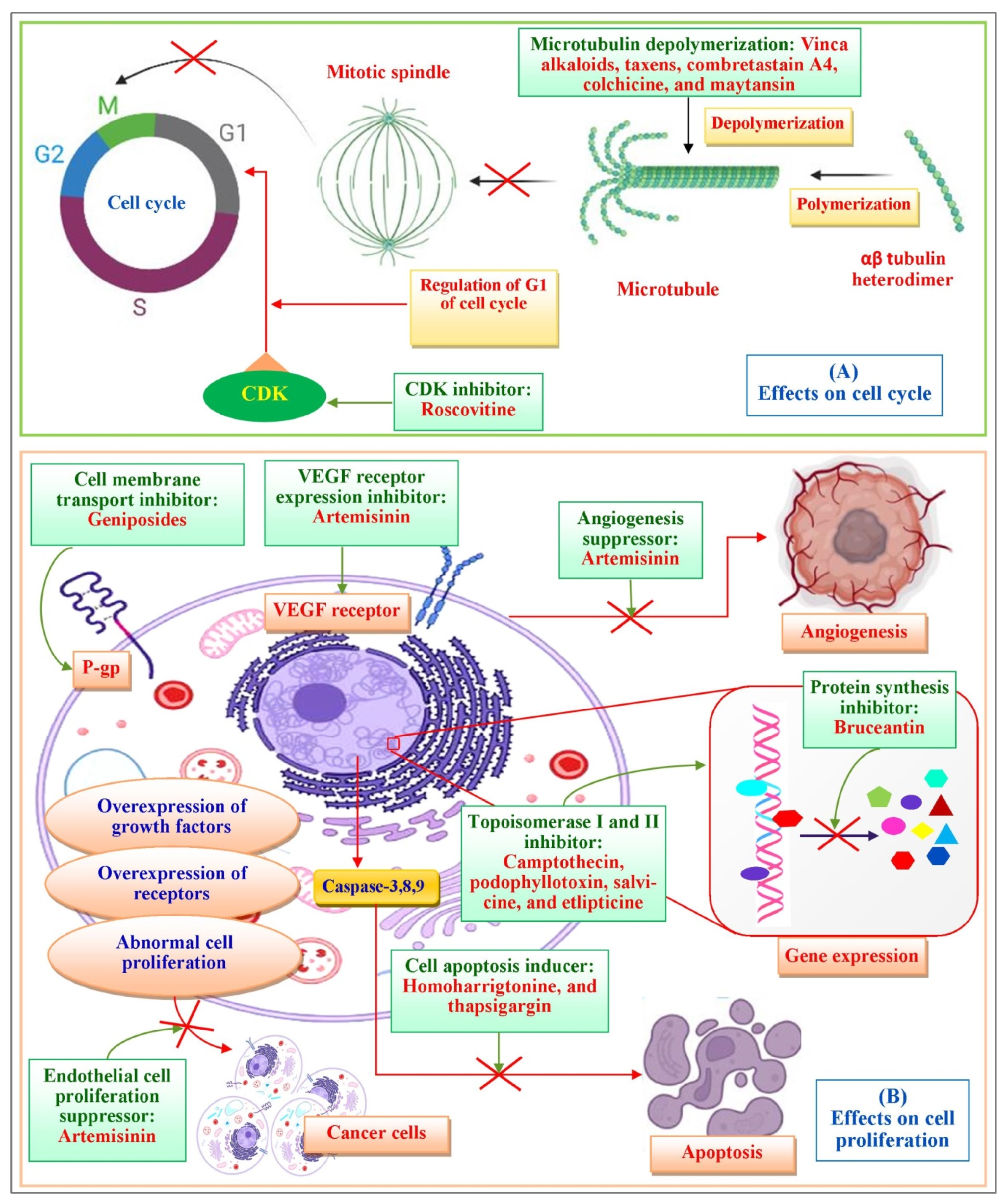 Molecules 27 03036 g002