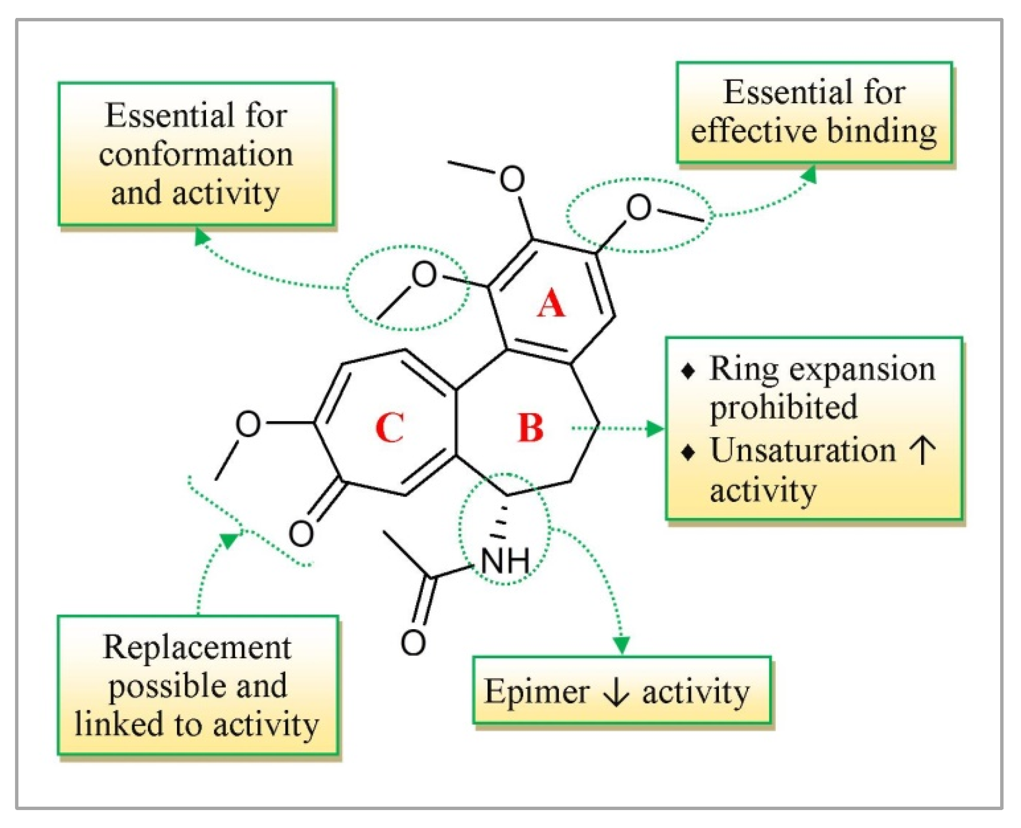 Molecules 27 03036 g008