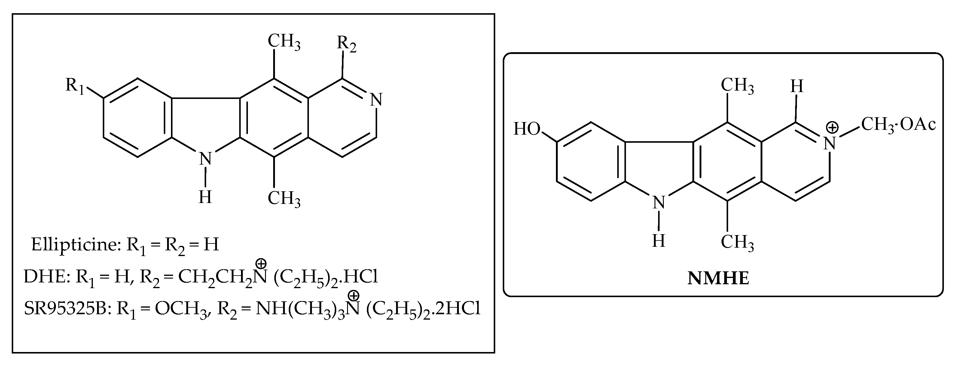 Molecules 27 03036 g012