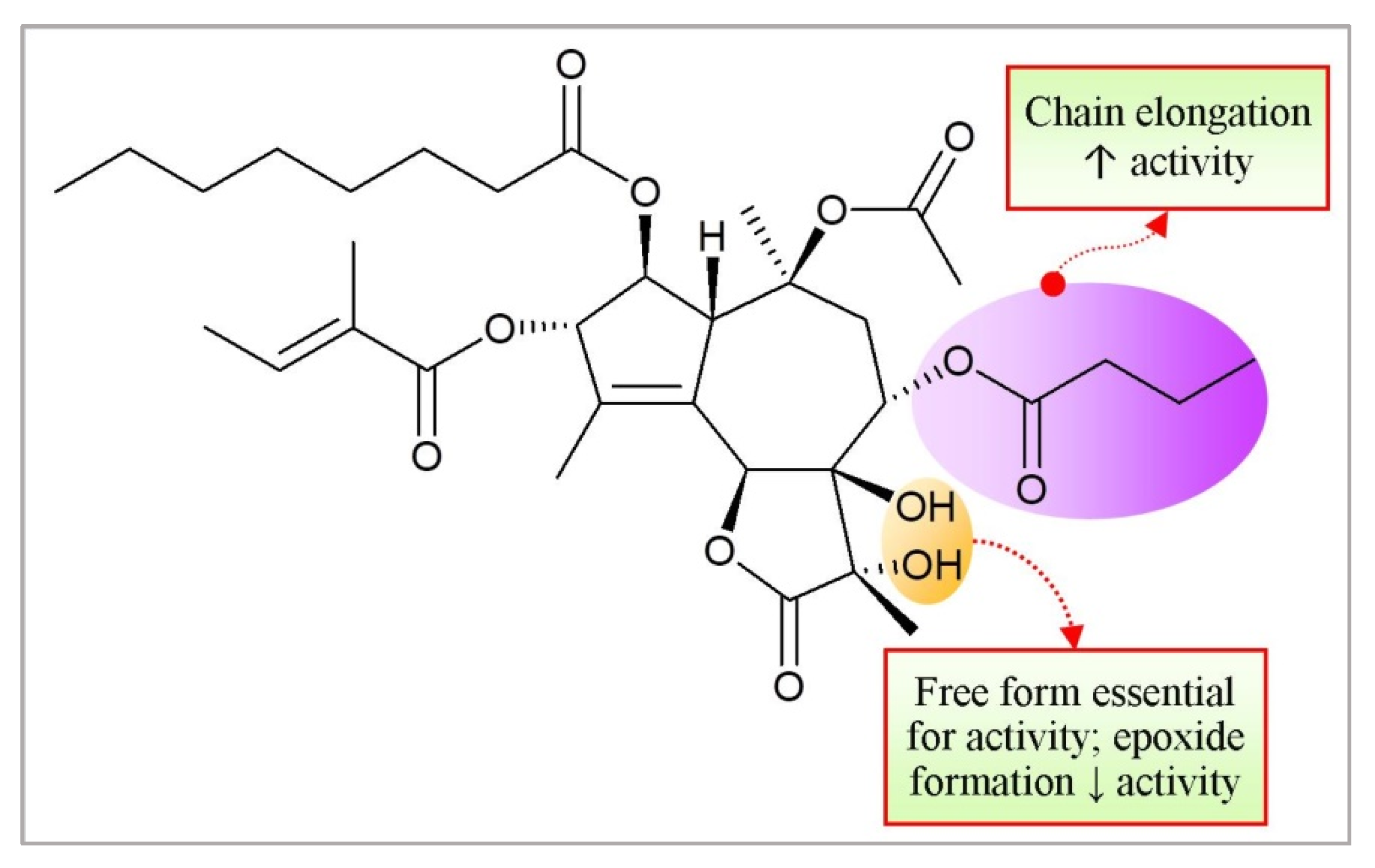 Molecules 27 03036 g015