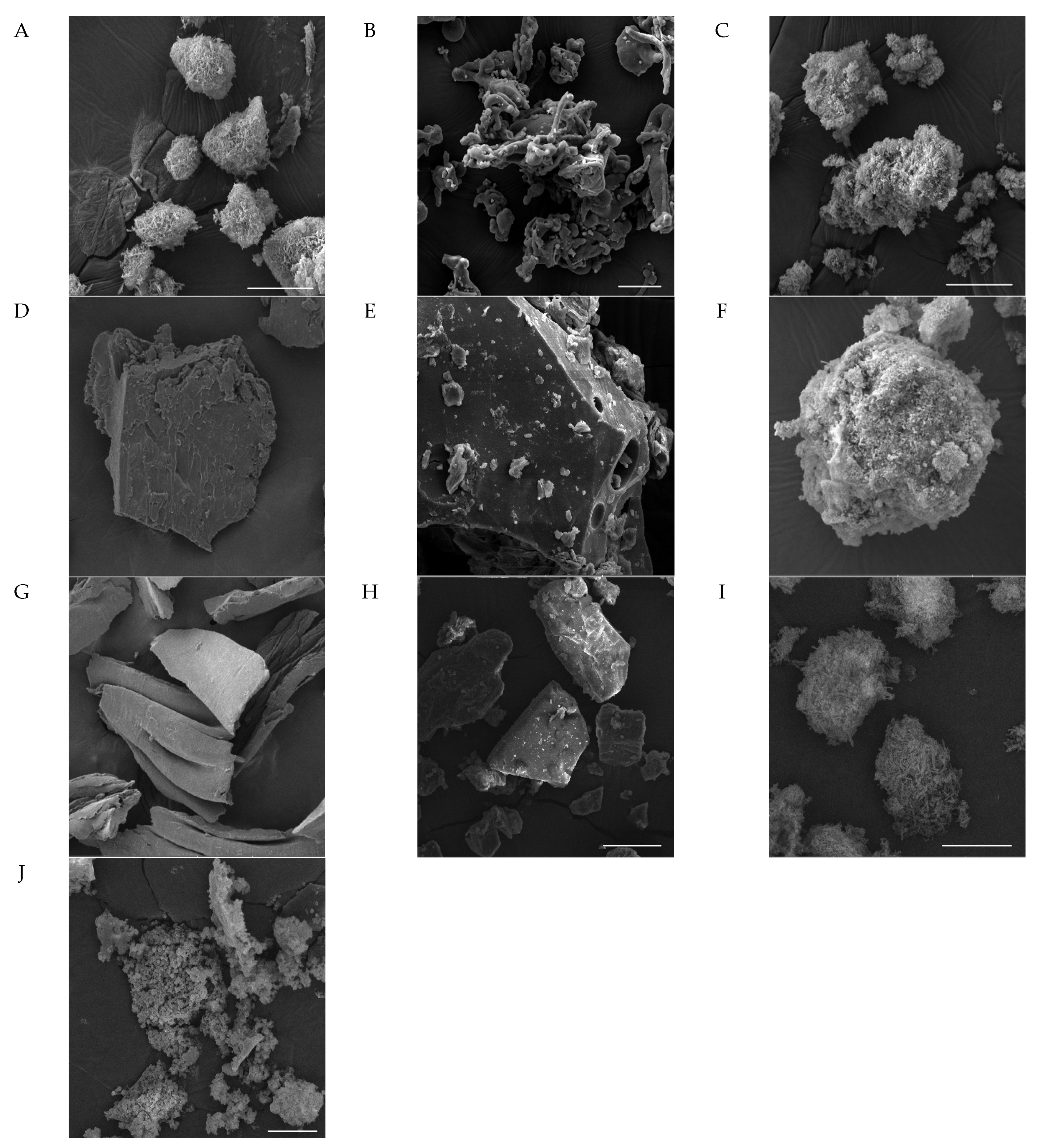 Molecules 27 03042 g005