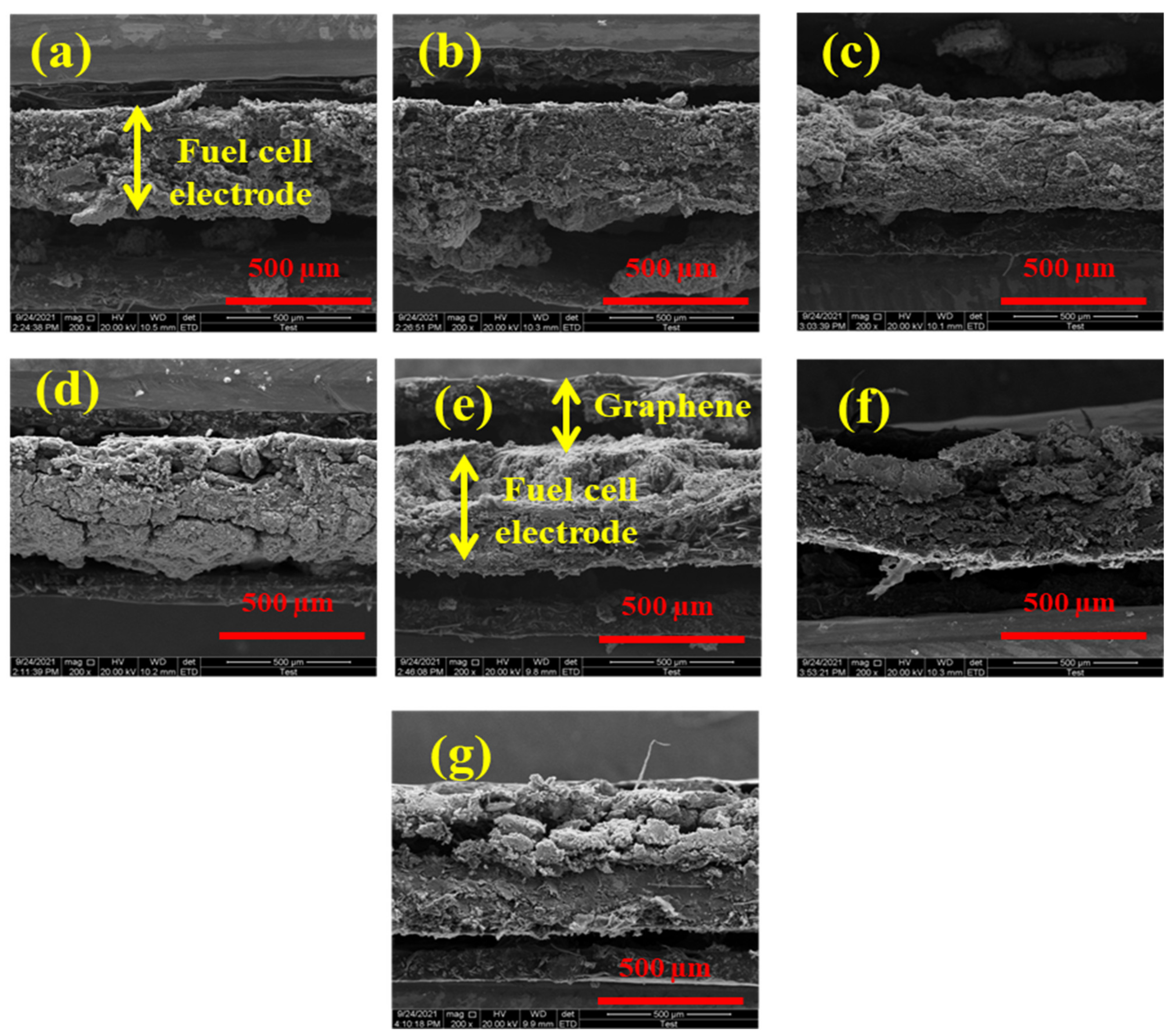 Molecules 27 03044 g004 Molecules 27 03044 g004