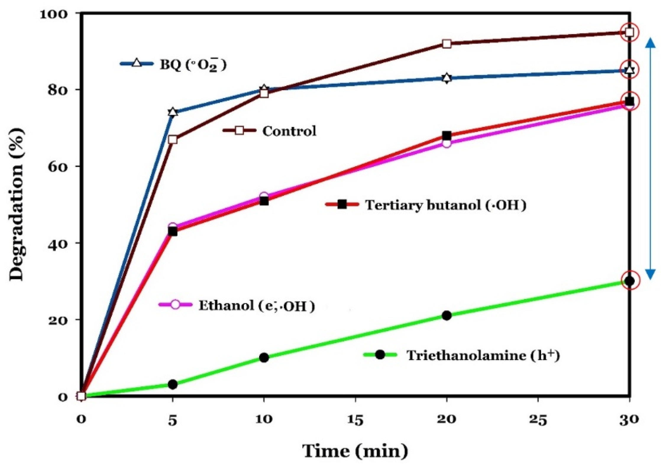Molecules 27 03050 g007
