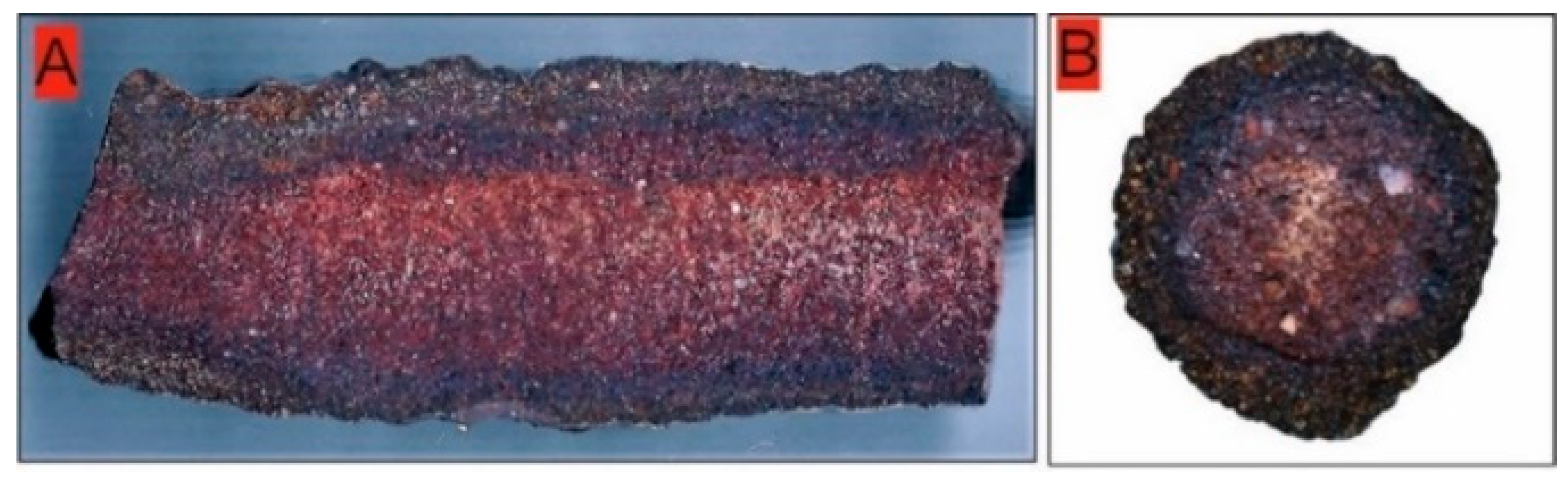 Molecules 27 03053 g001