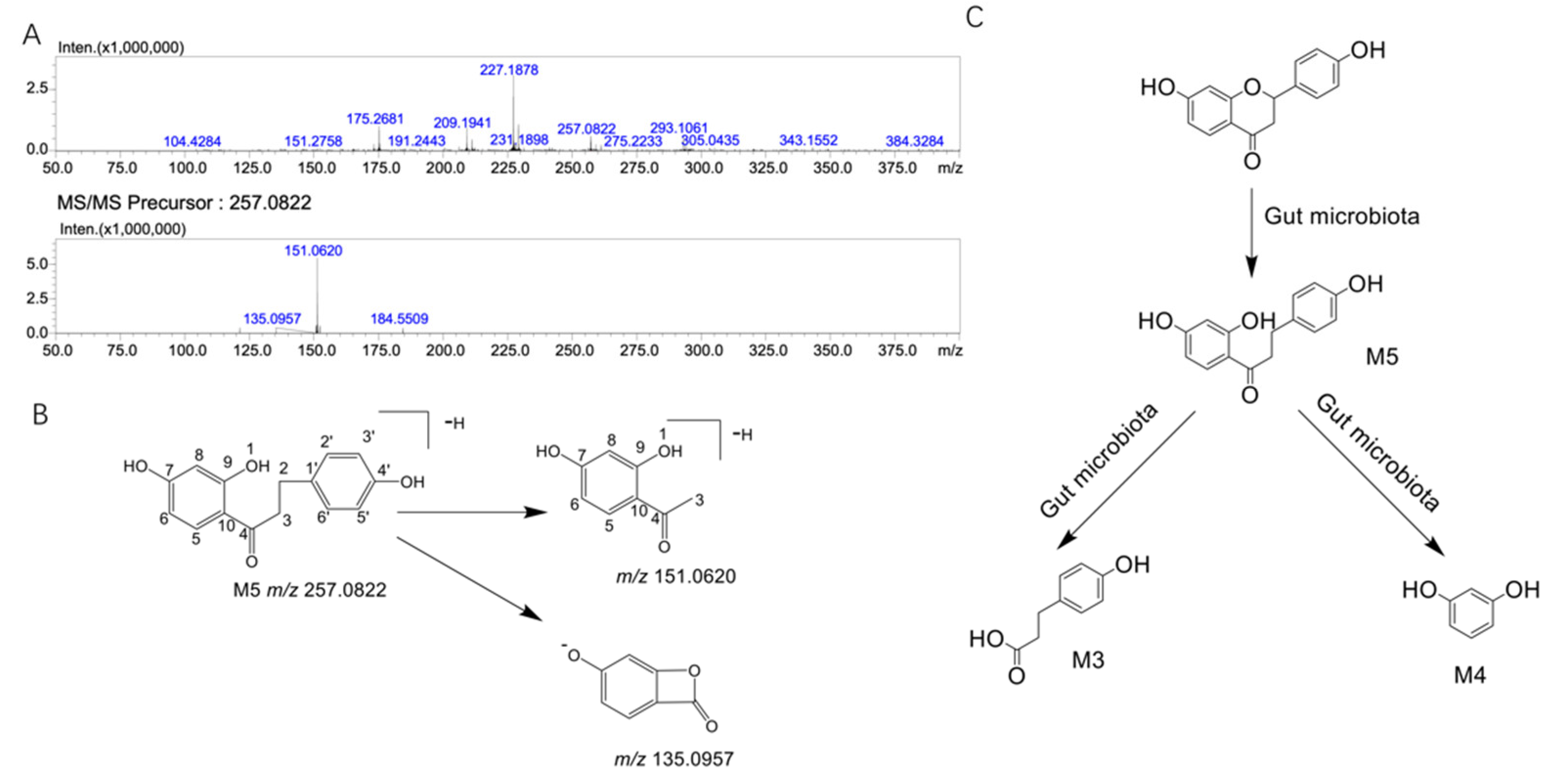 Molecules 27 03057 g004 Molecules 27 03057 g004
