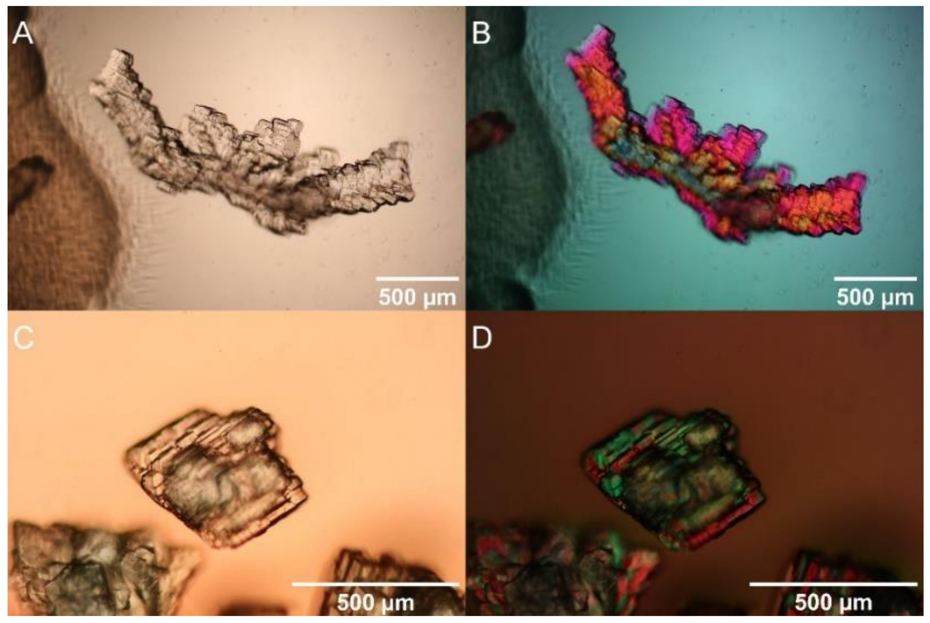 Molecules 27 03061 g002