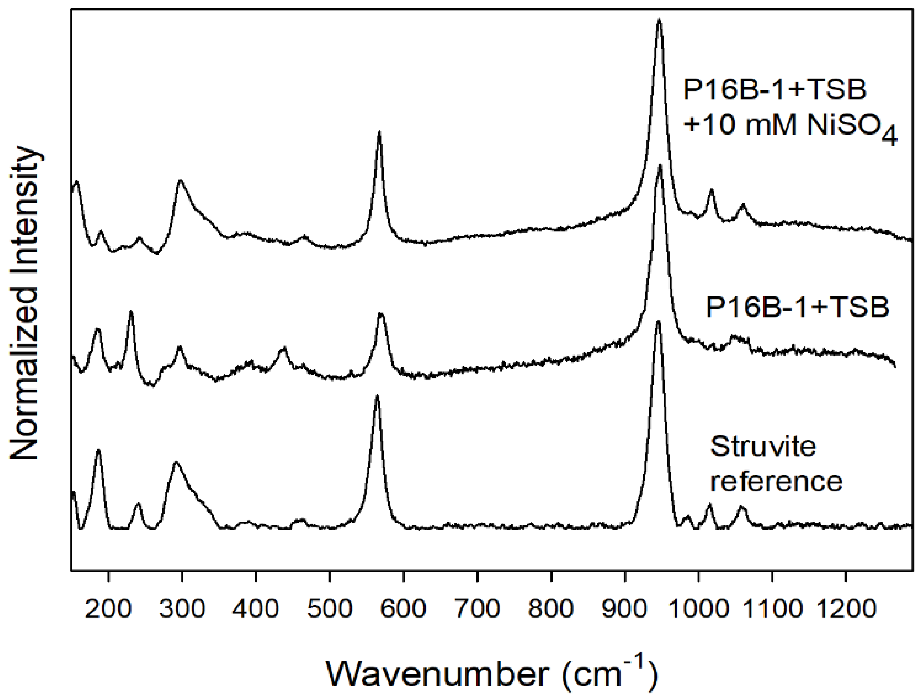 Molecules 27 03061 g003